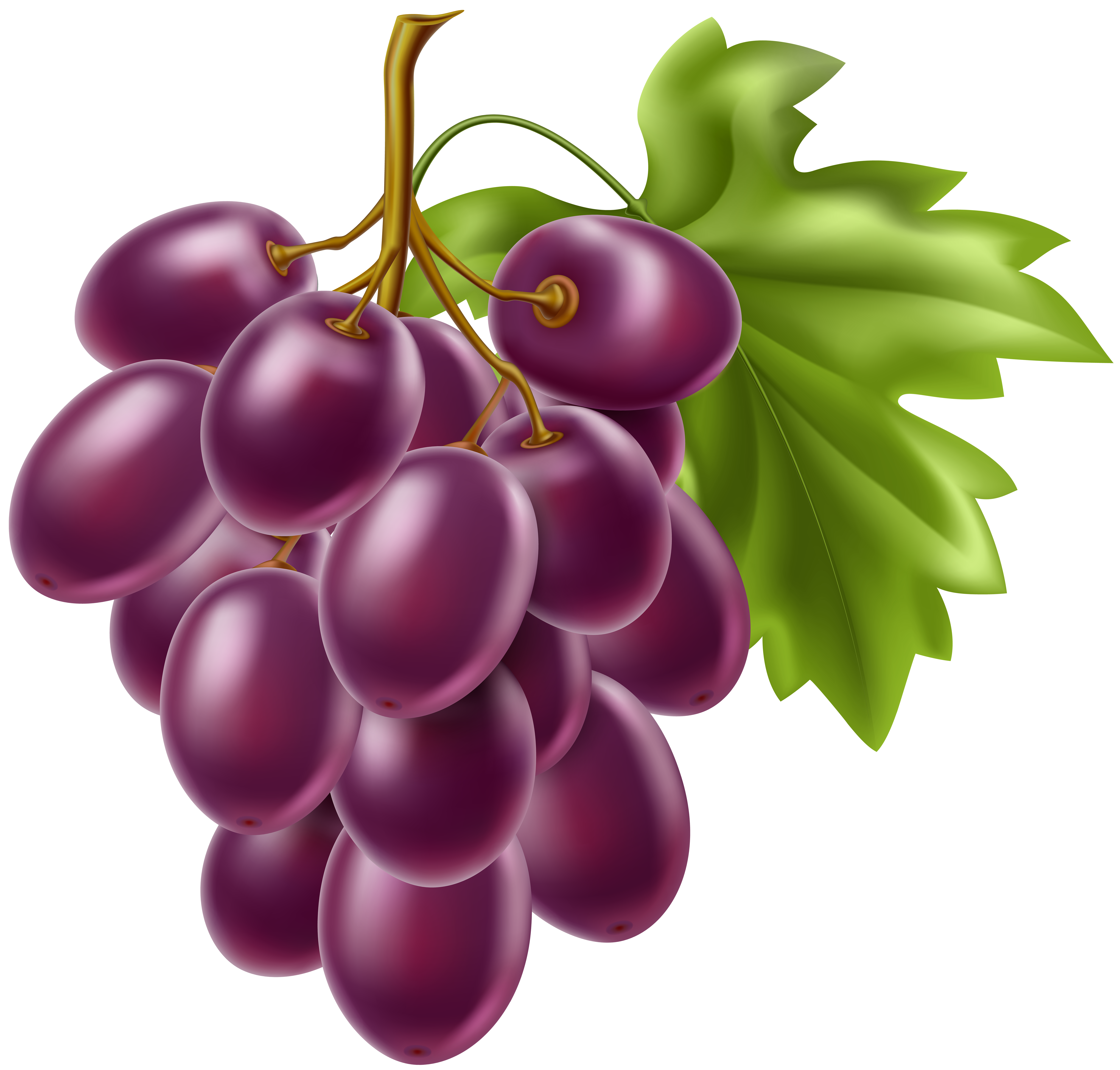 fruit png clipart