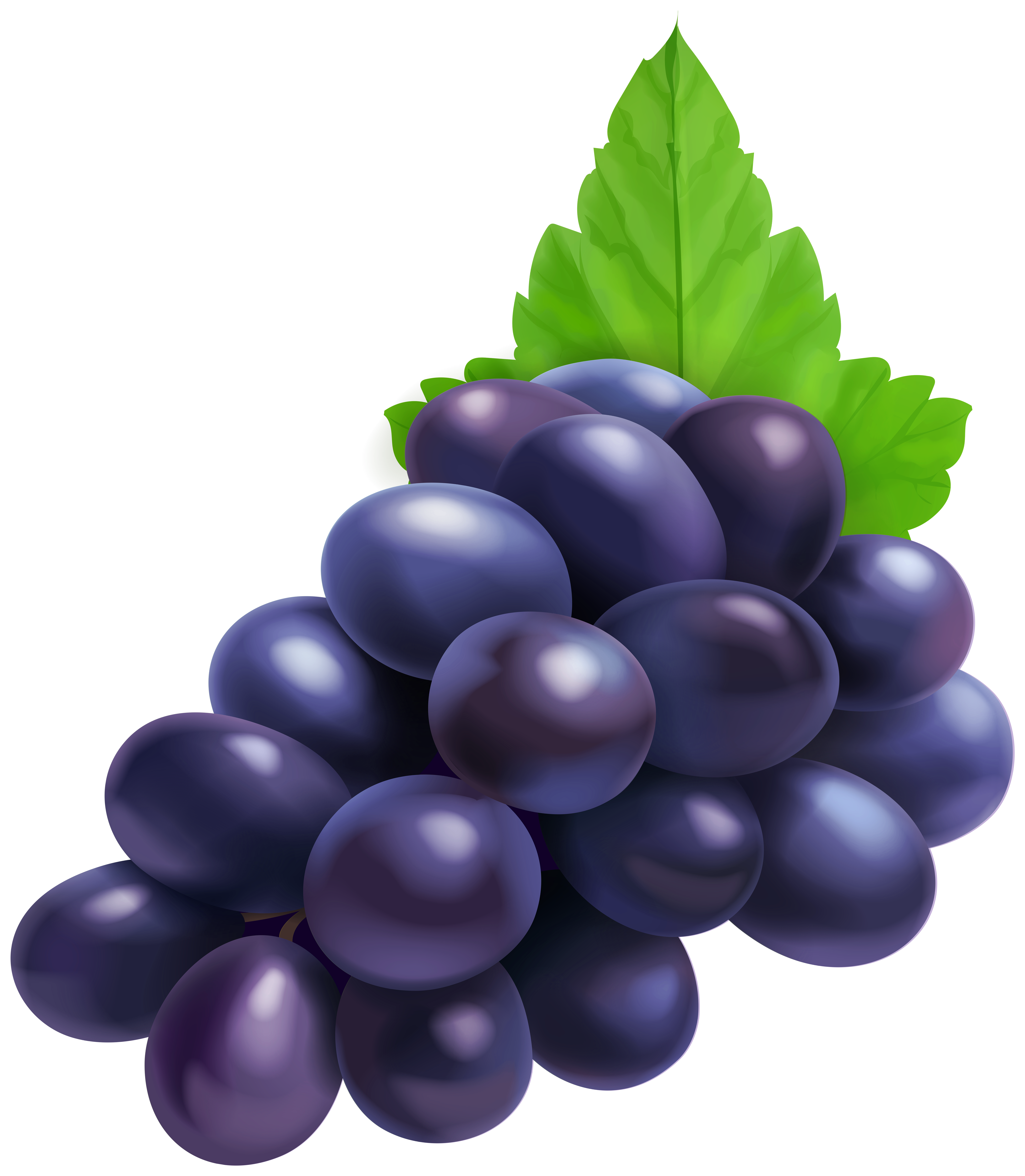 grapes png