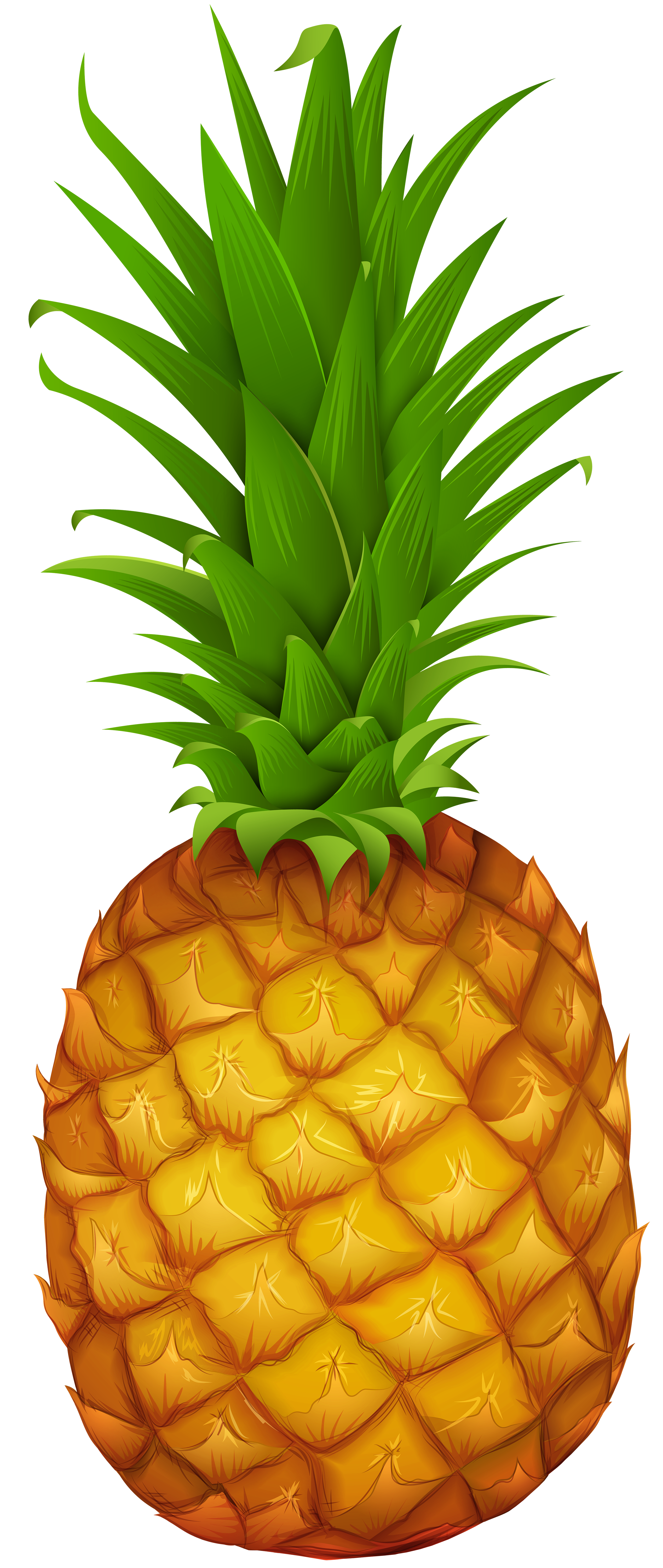 pineapple png