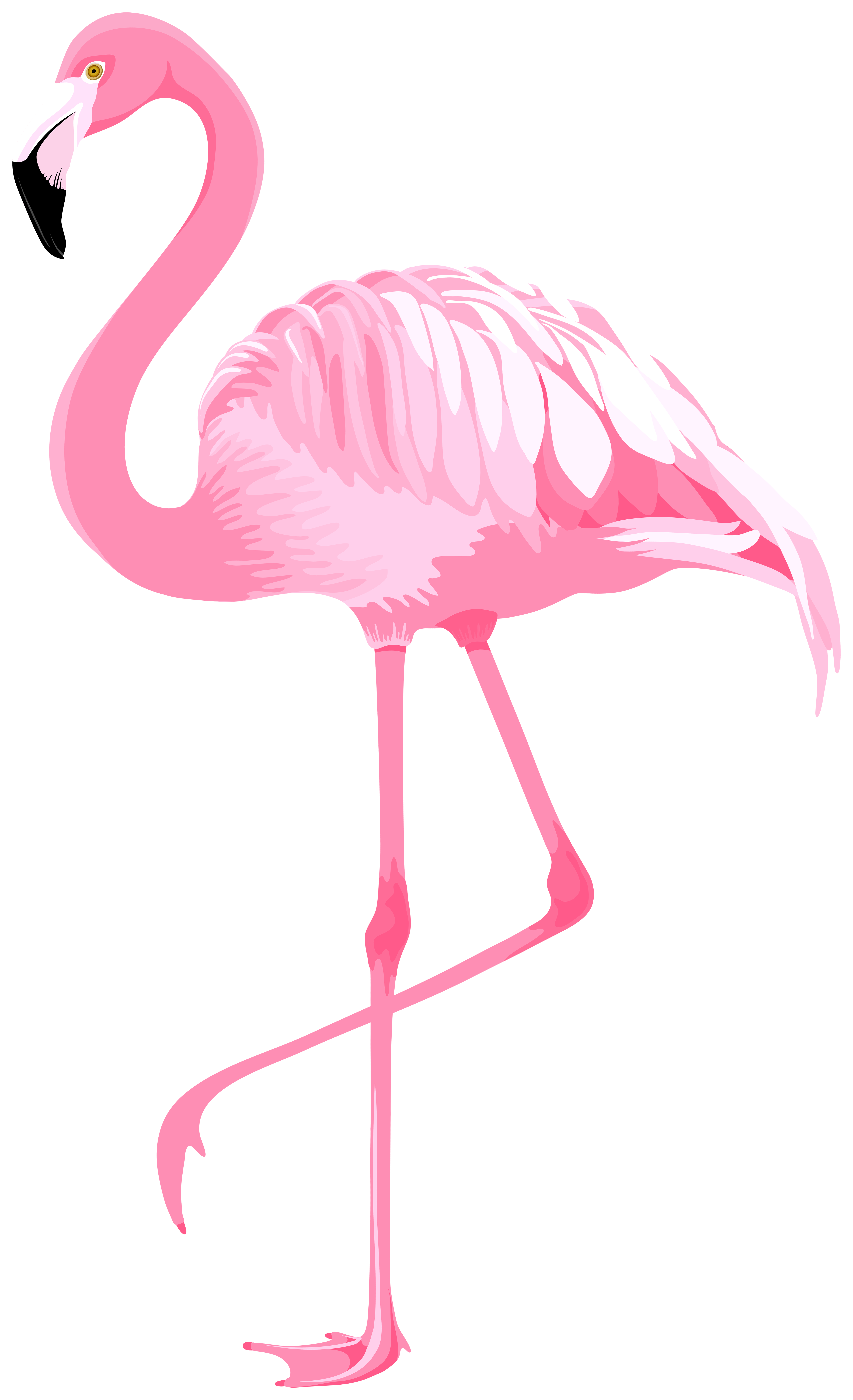 Flamingo ClipArt