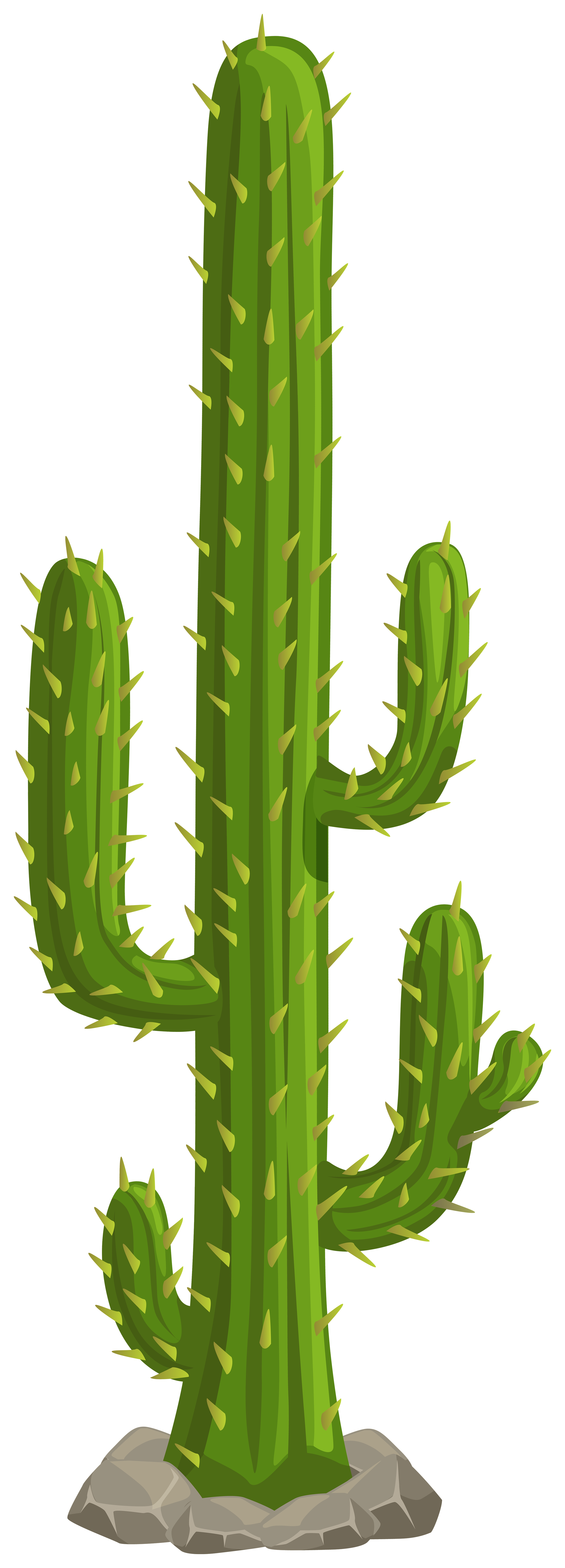 Cactus Png Clipart Gallery Yopriceville High Quality Images And Transparent Png Free Clipart