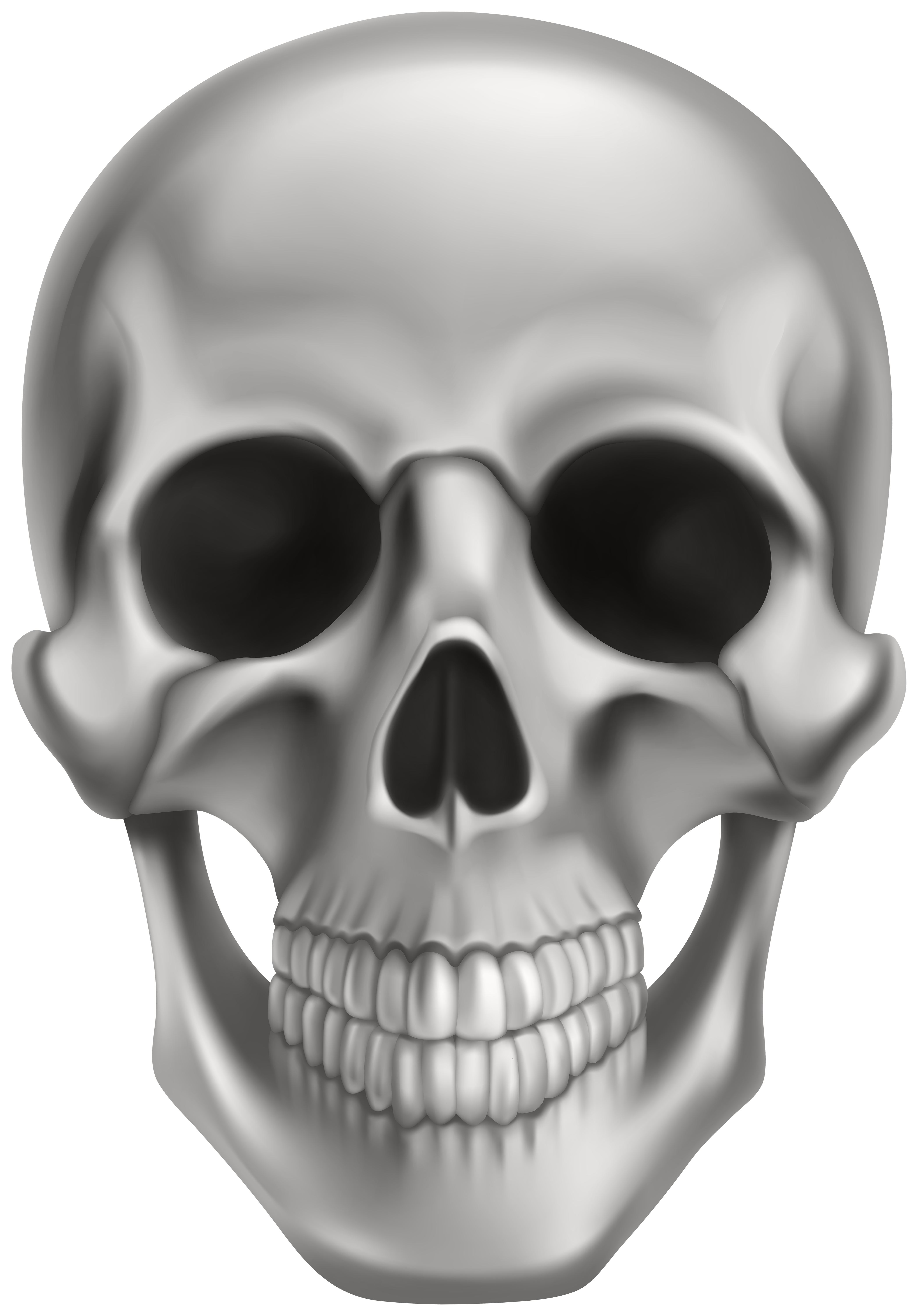 Skull PNG Clipart​  Gallery Yopriceville - High-Quality Free Images and  Transparent PNG Clipart