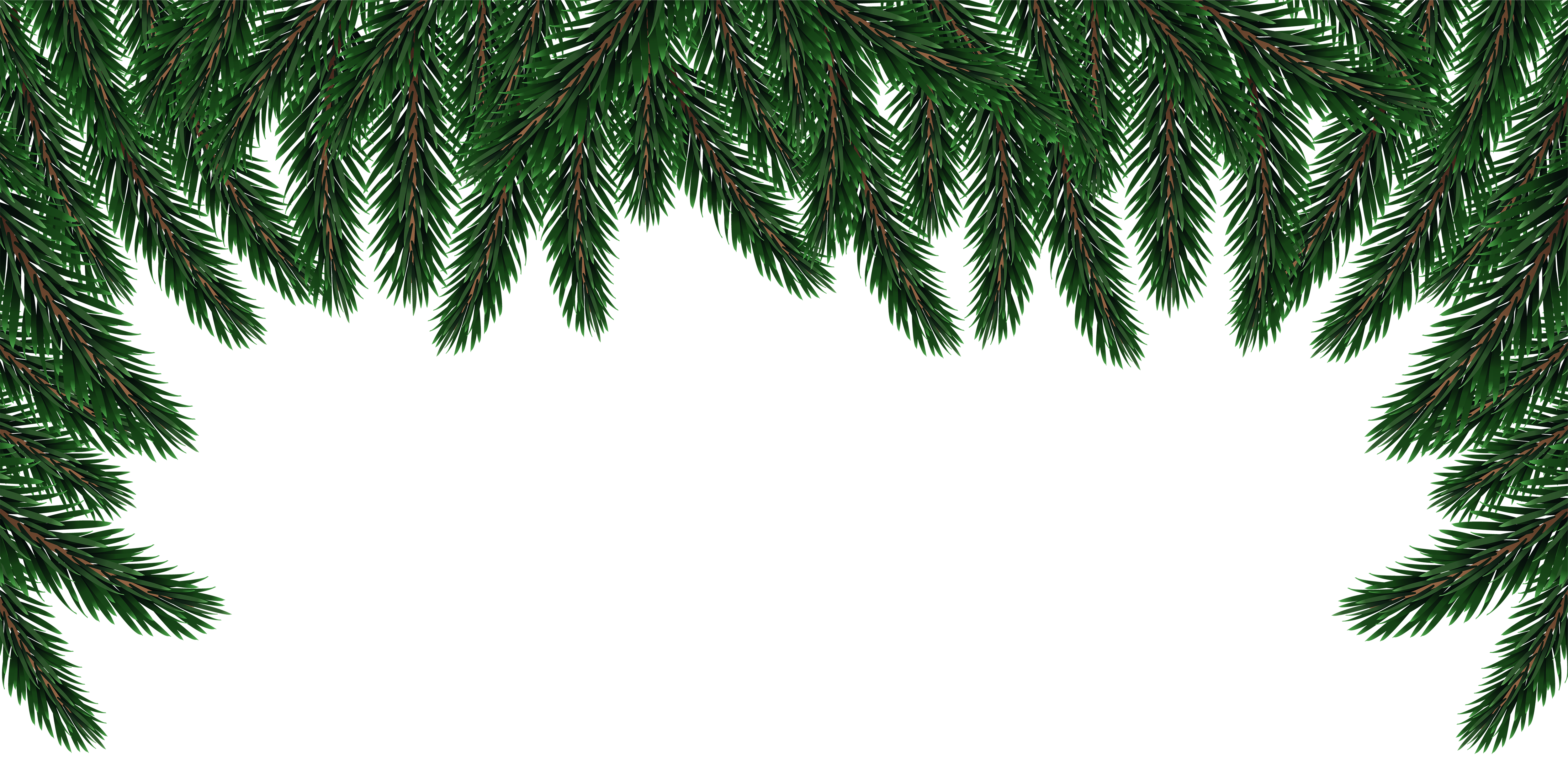 Pine Branches Top PNG Clipart​