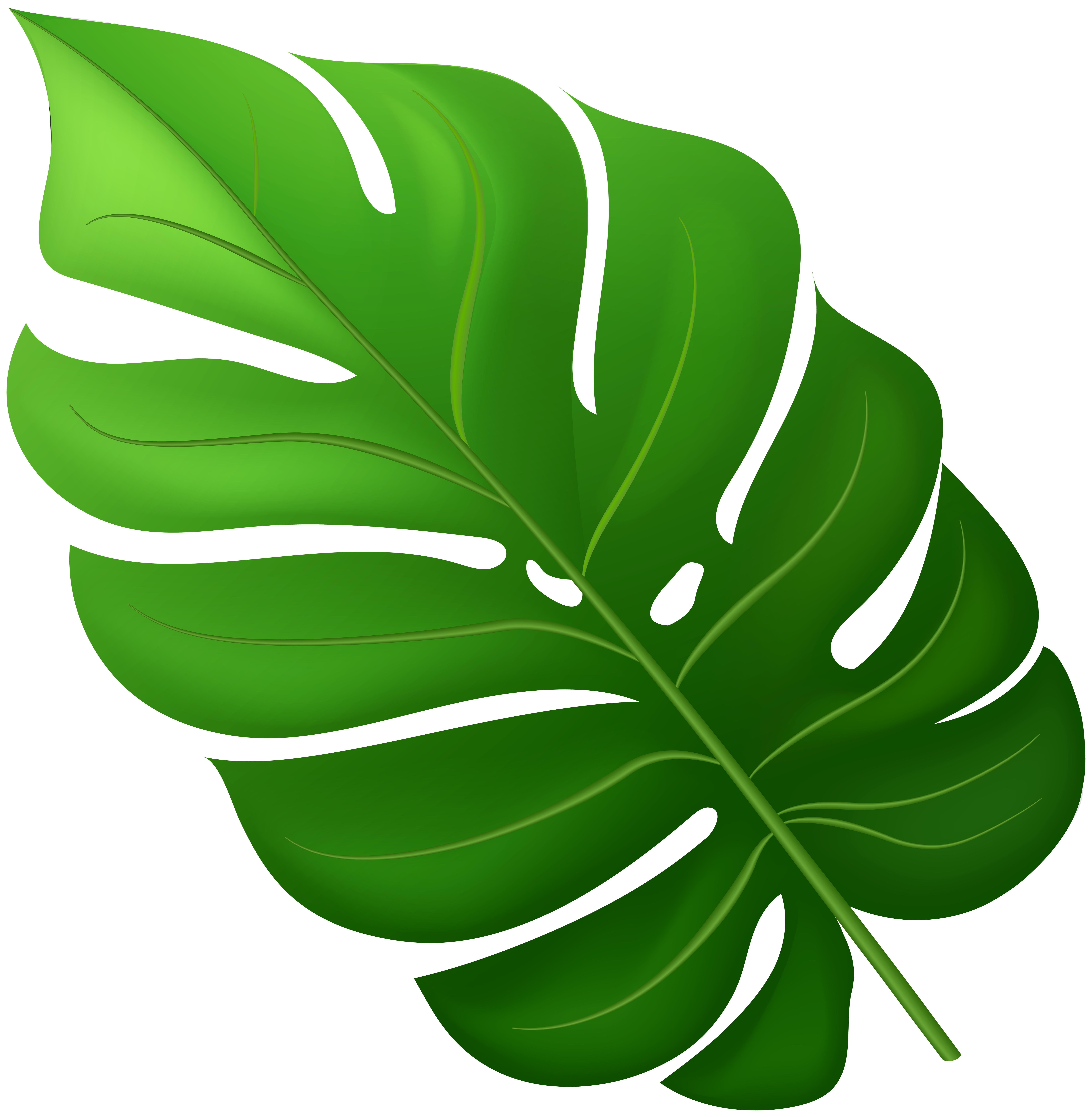 Tropical Leaf PNG Clipart​ | Gallery Yopriceville - High-Quality Free  Images and Transparent PNG Clipart