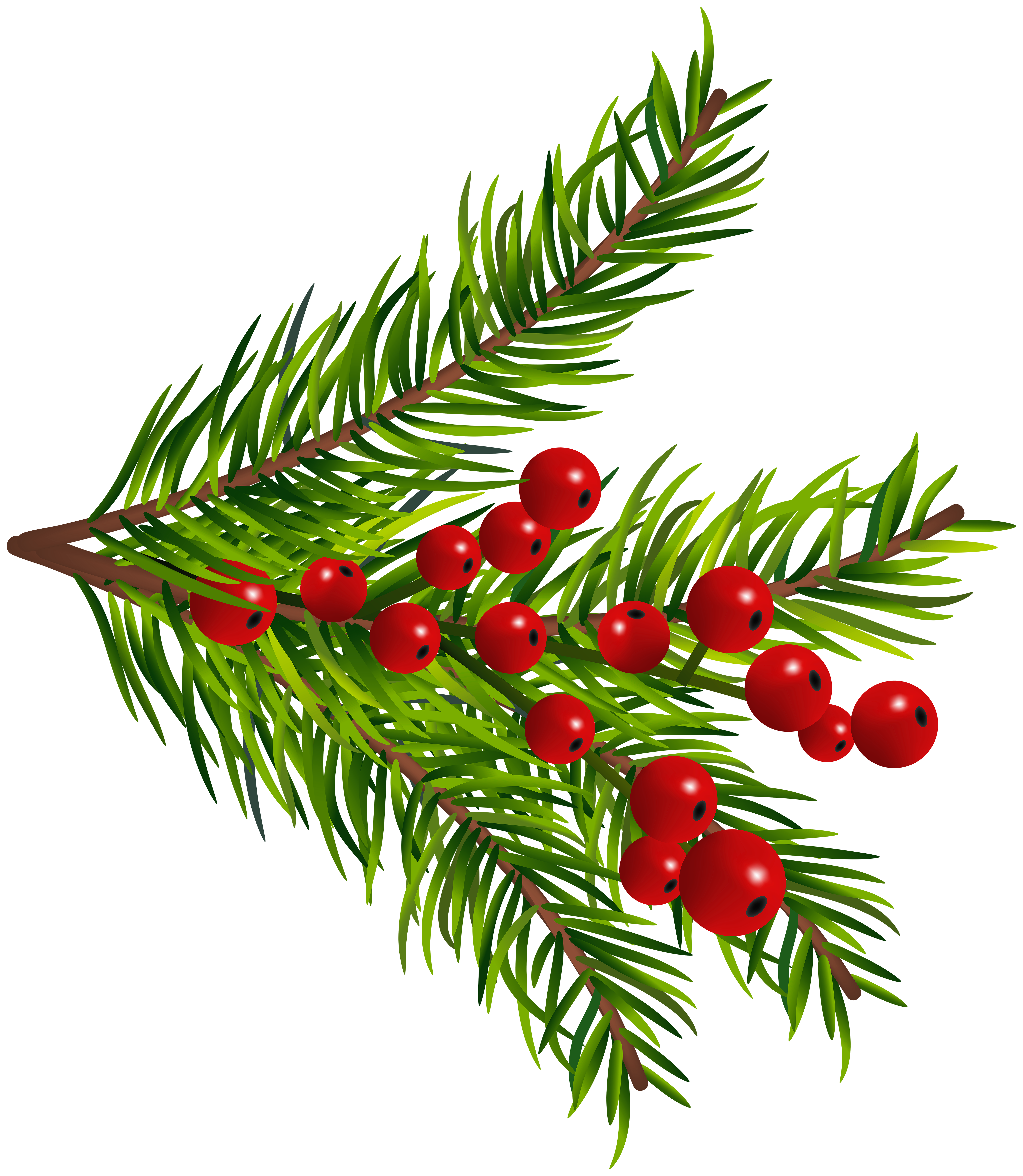 Pine Tree Branches Decor PNG Clipart​  Gallery Yopriceville - High-Quality  Free Images and Transparent PNG Clipart