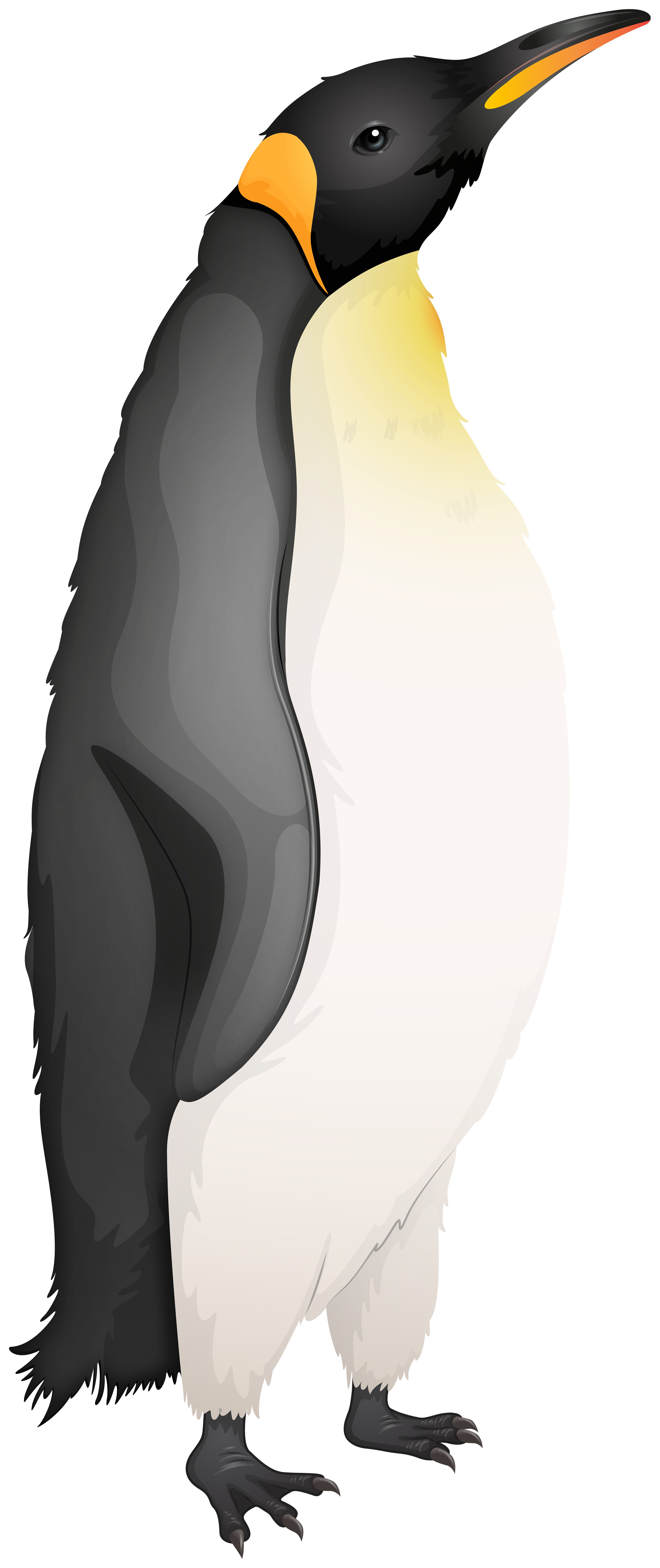 emperor penguin clip art