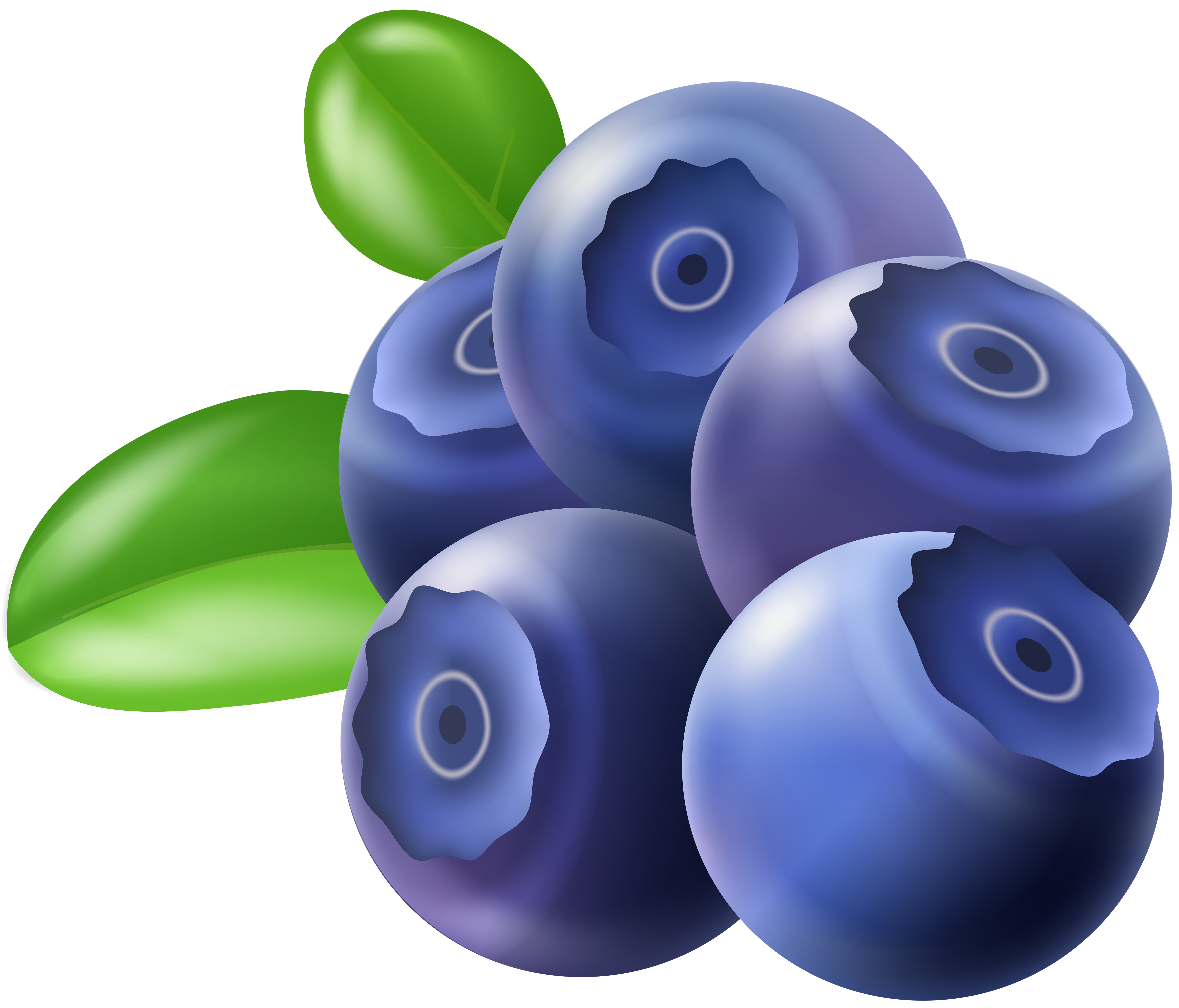 Blueberry Inflation PNG Images, Blueberry Inflation Clipart Free Download