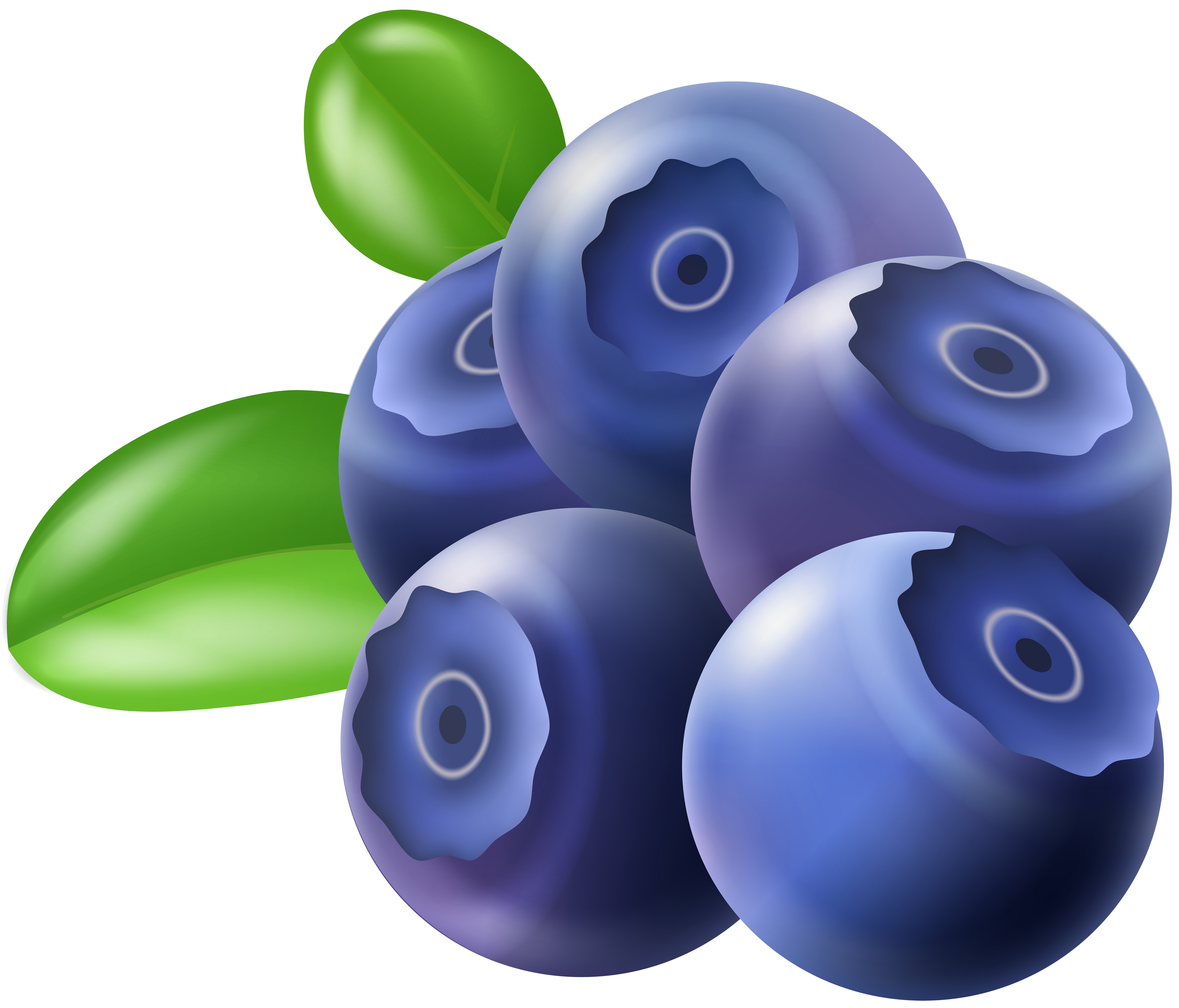 Blueberry Inflation transparent background PNG cliparts free download