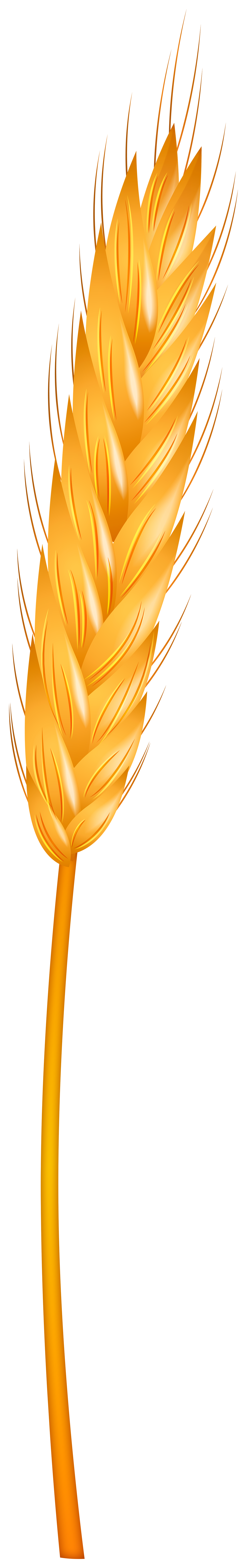 wheat clipart png