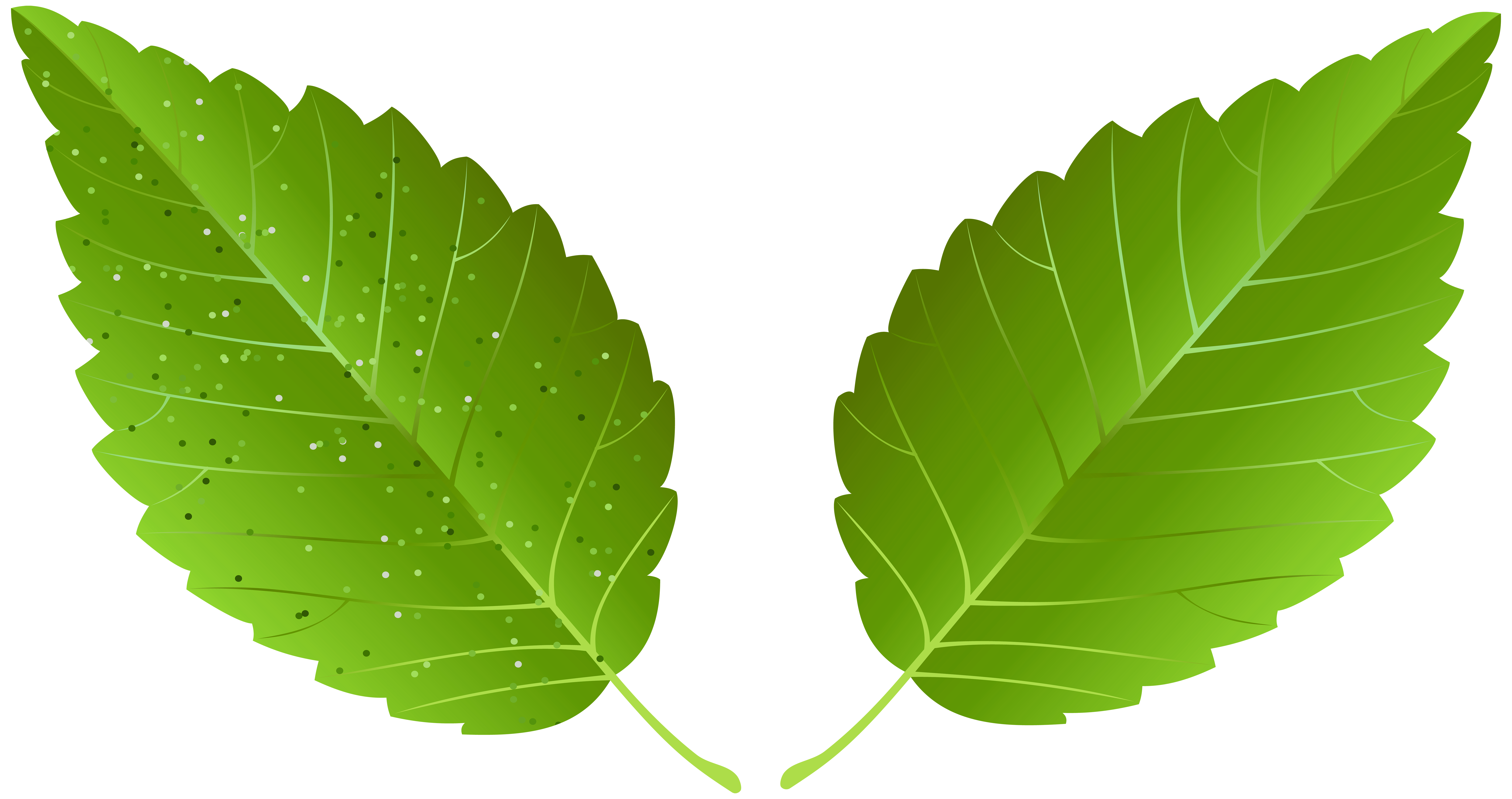 Green Leaves PNG Transparent Image​  Gallery Yopriceville - High-Quality  Free Images and Transparent PNG Clipart