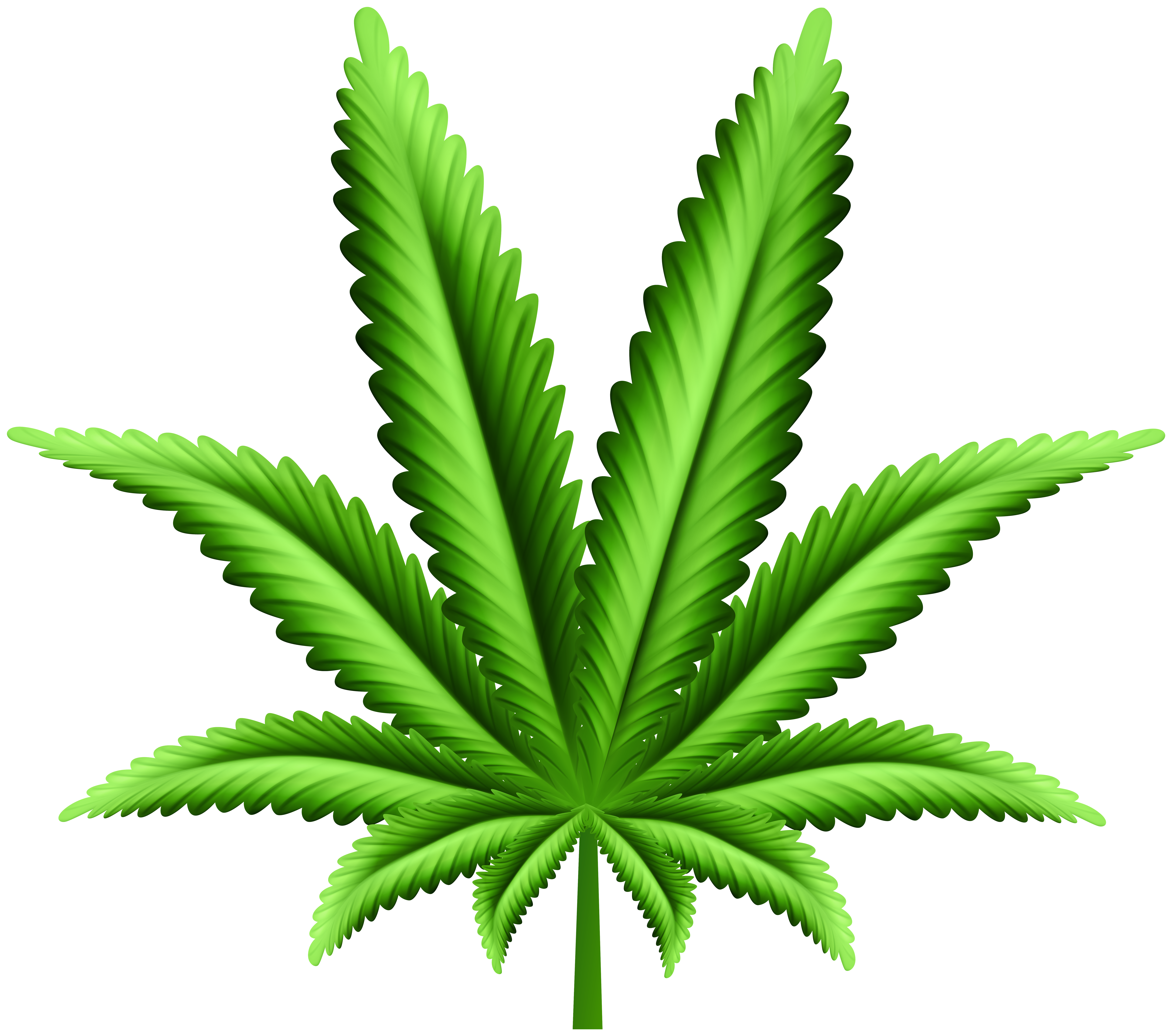 cartoon weed leaf png