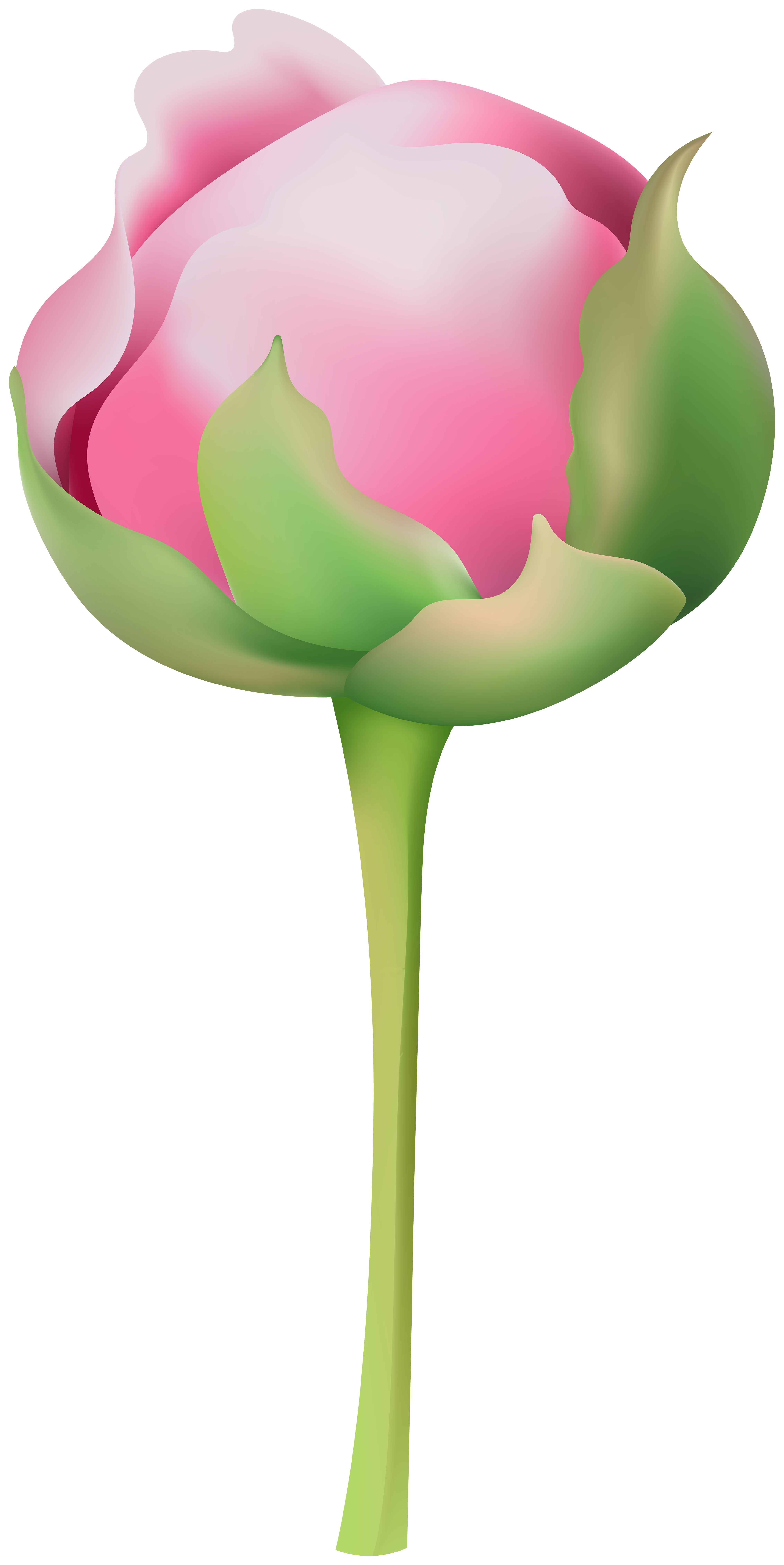 Peony with Stem PNG Clipart​  Gallery Yopriceville - High-Quality Free  Images and Transparent PNG Clipart