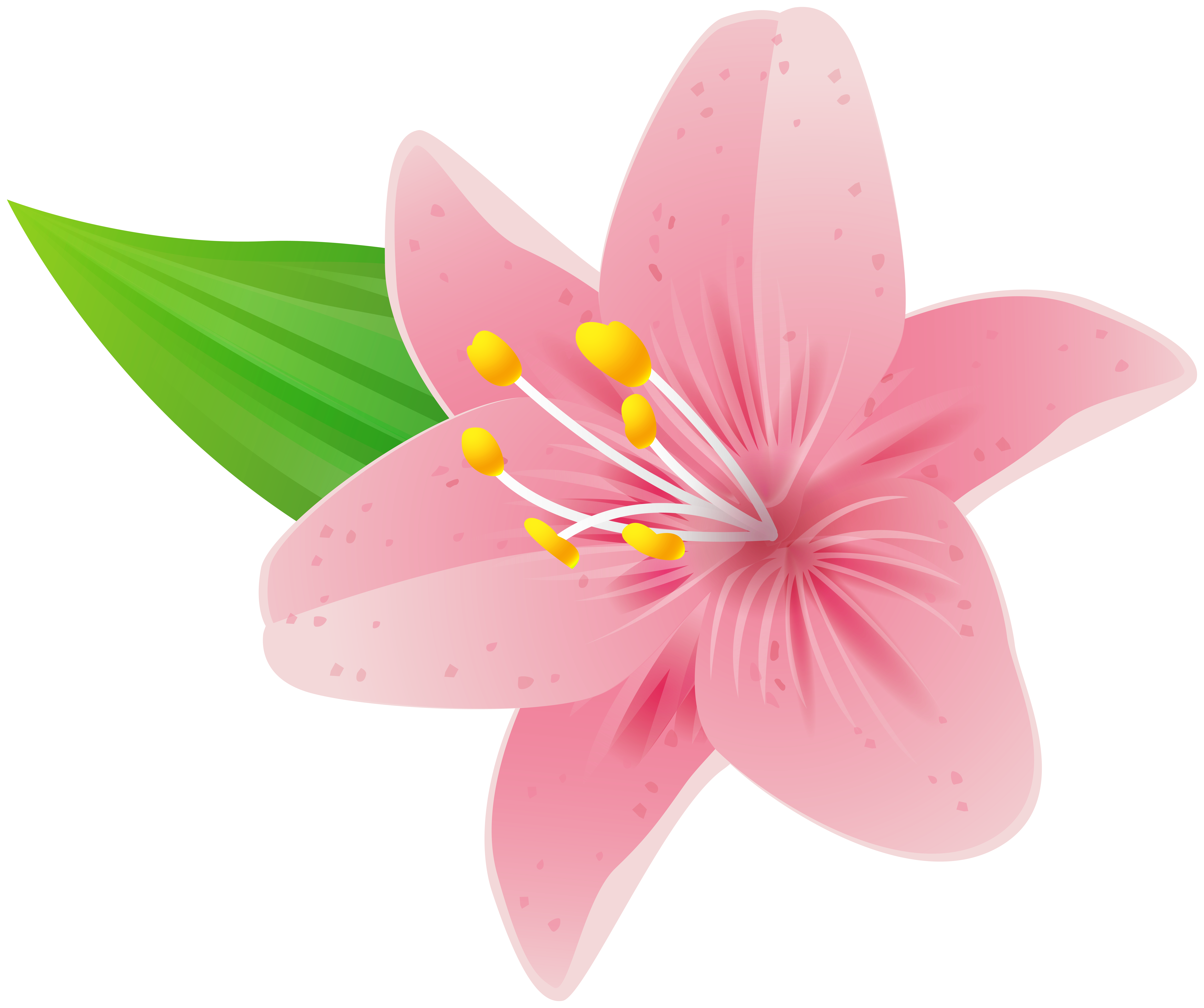 Pink Flower PNG Clipart​  Gallery Yopriceville - High-Quality
