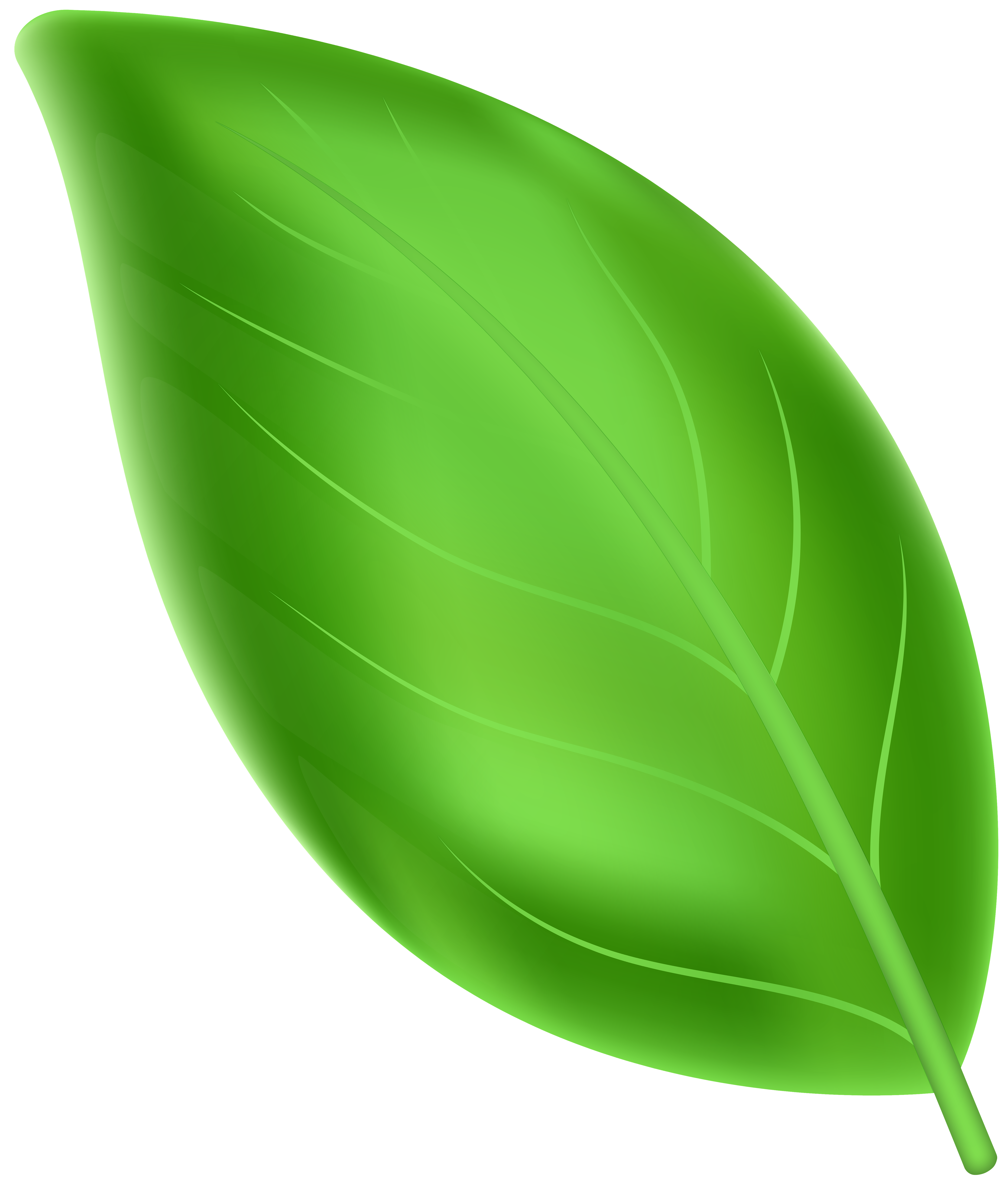 Green Leaves PNG Image​  Gallery Yopriceville - High-Quality Free