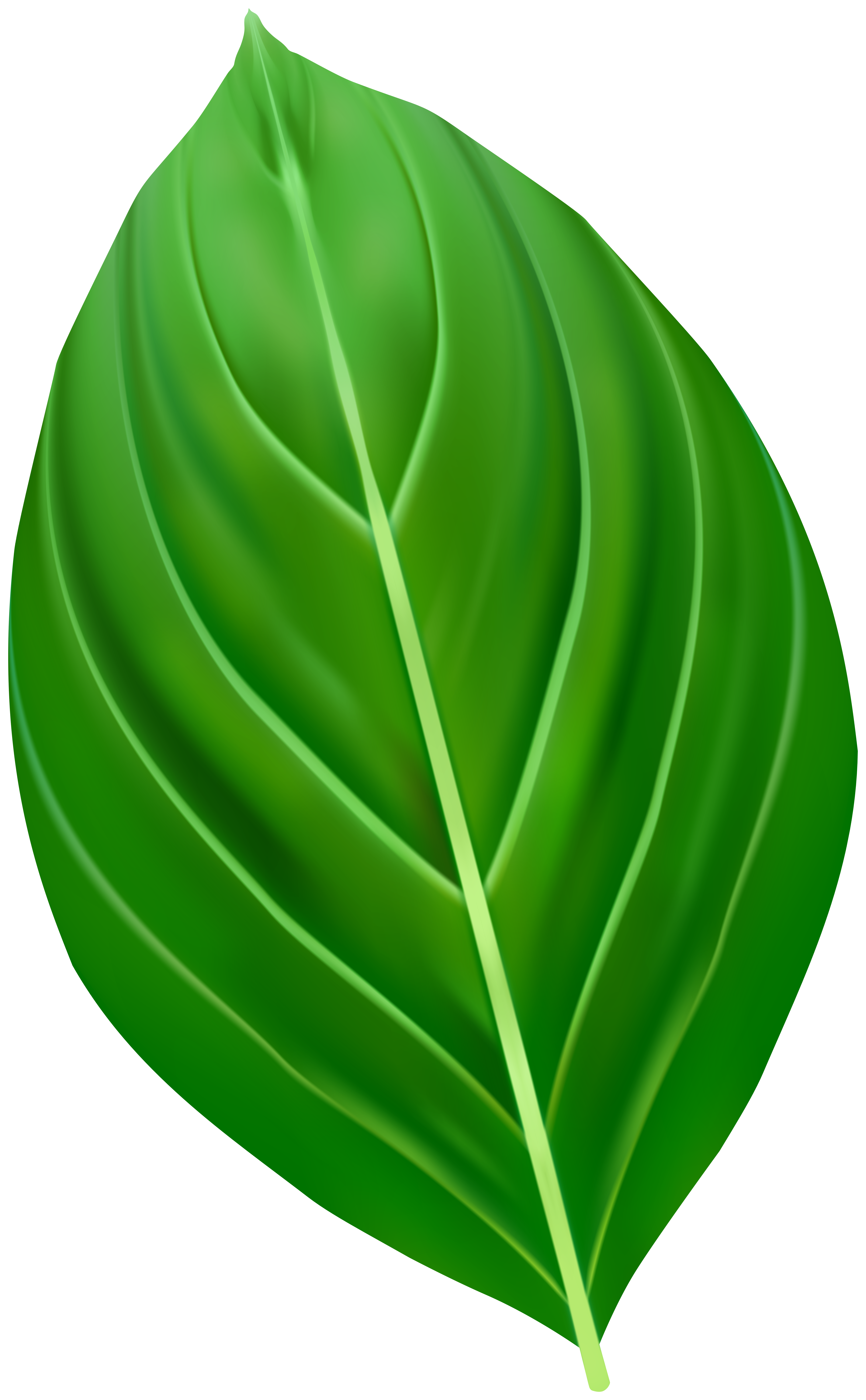 Green Leaf Transparent PNG Clip Art Image​  Gallery Yopriceville -  High-Quality Free Images and Transparent PNG Clipart