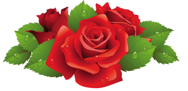 Beautiful Red Rose PNG Picture​  Gallery Yopriceville - High-Quality Free  Images and Transparent PNG Clipart