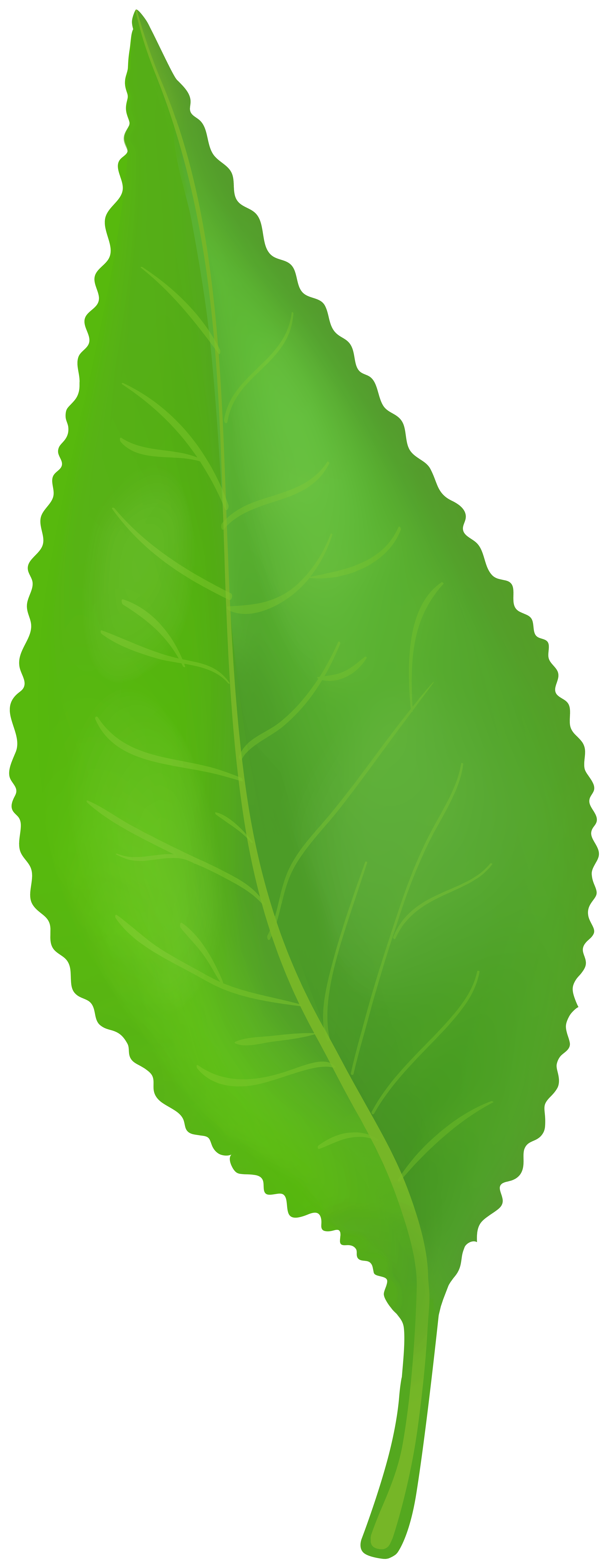 Green Leaf Transparent Clipart​  Gallery Yopriceville - High-Quality Free  Images and Transparent PNG Clipart