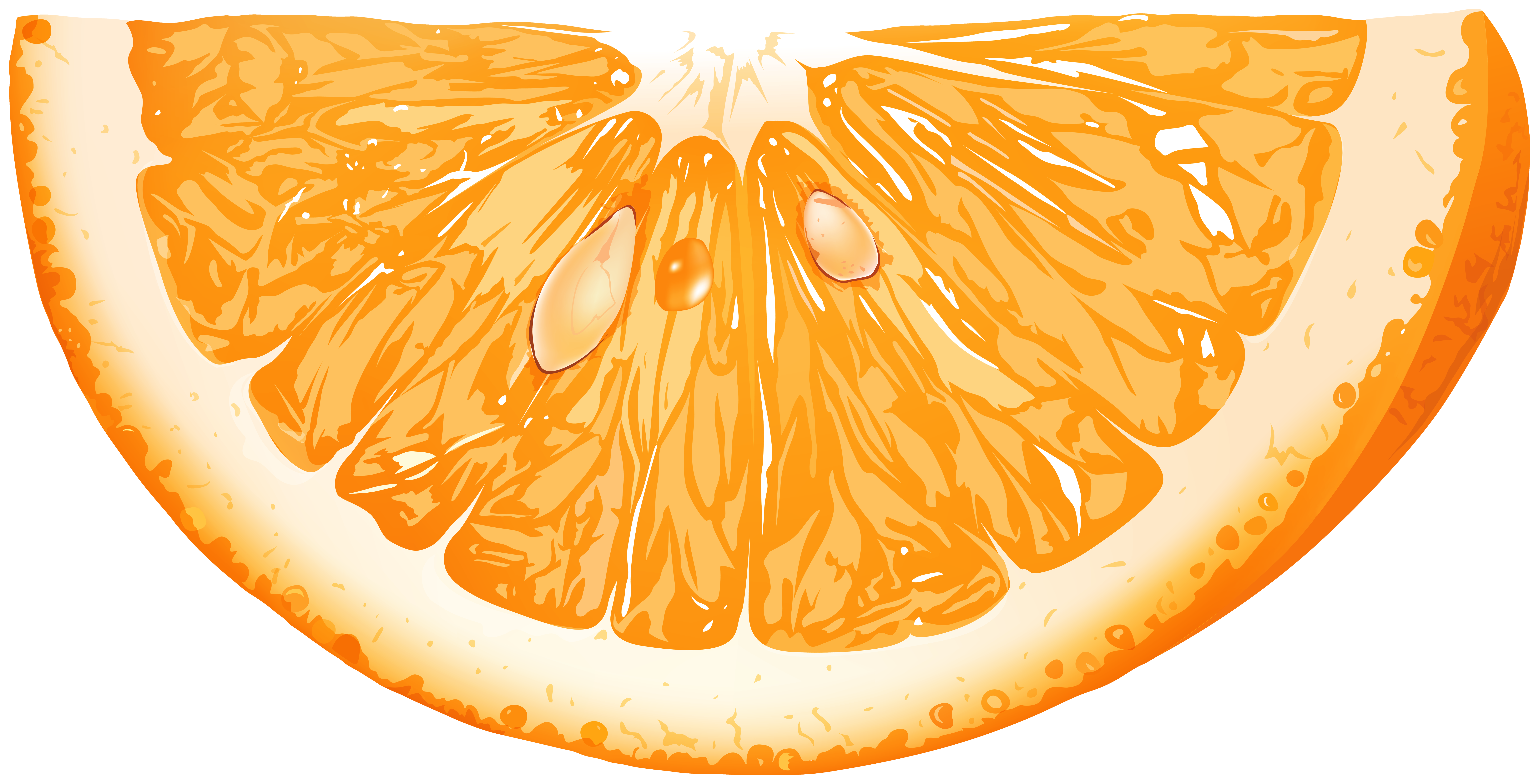 orange slices clipart