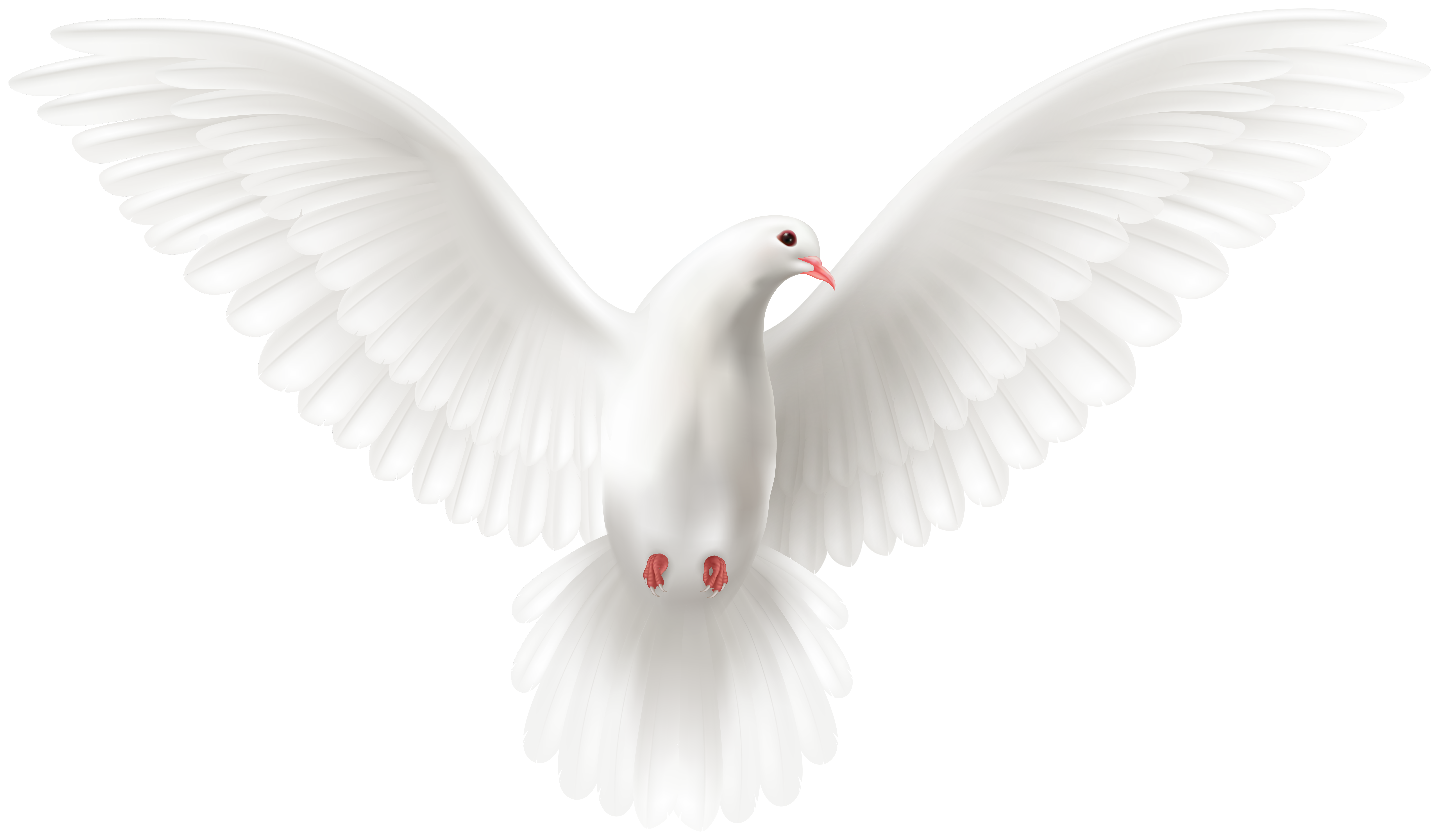 wedding dove clipart png