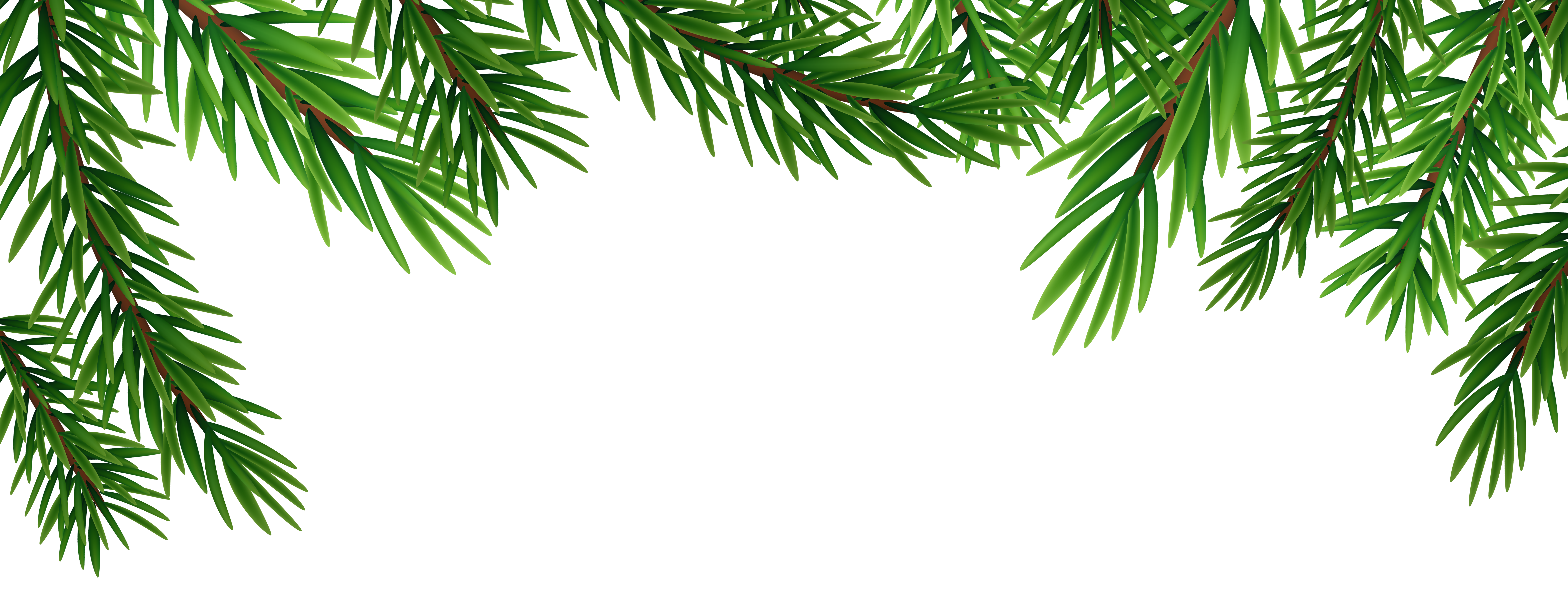 Pine Branches PNG Clipart​  Gallery Yopriceville - High-Quality Free  Images and Transparent PNG Clipart