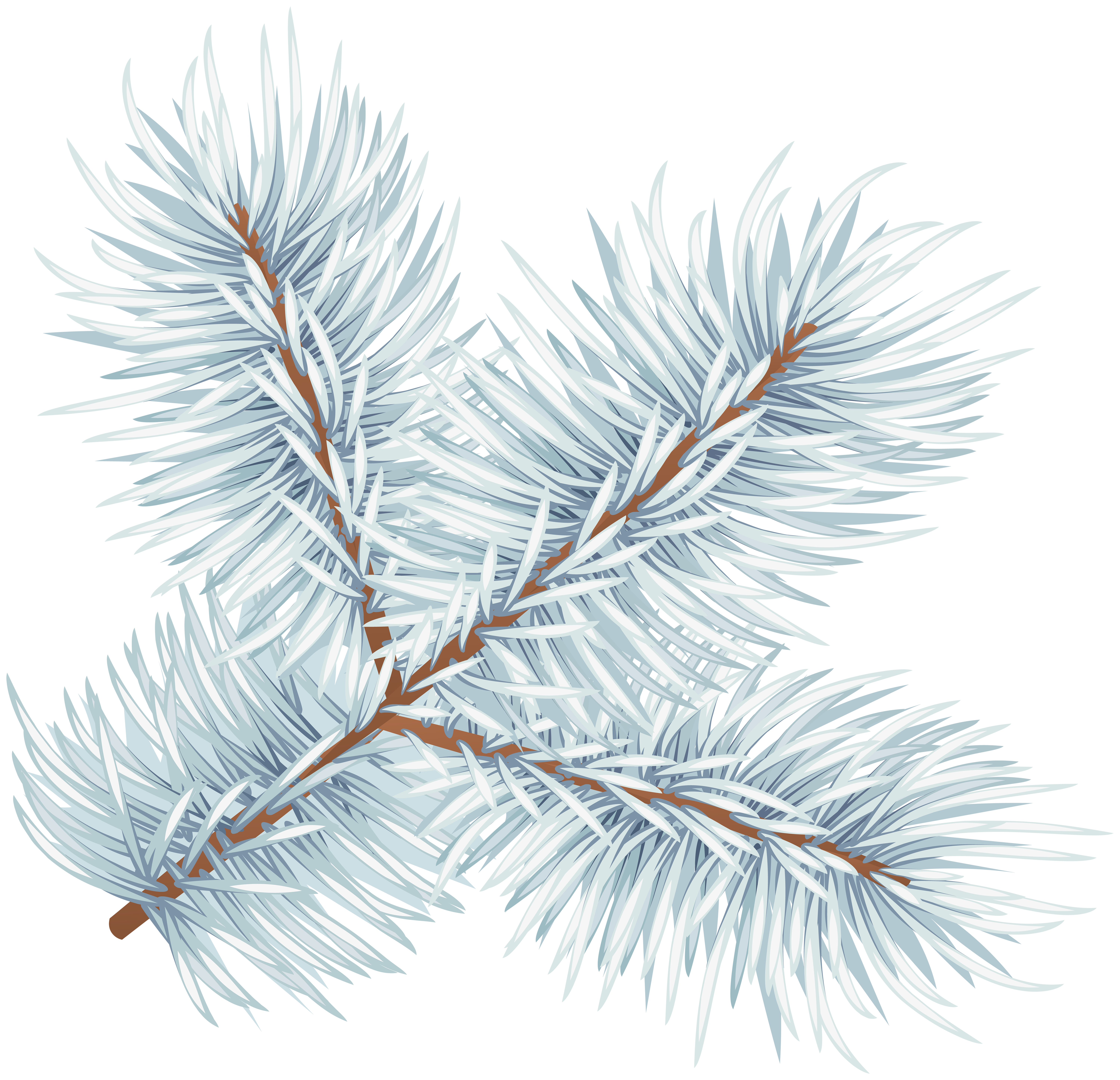 Pine Branches PNG Clipart​  Gallery Yopriceville - High-Quality