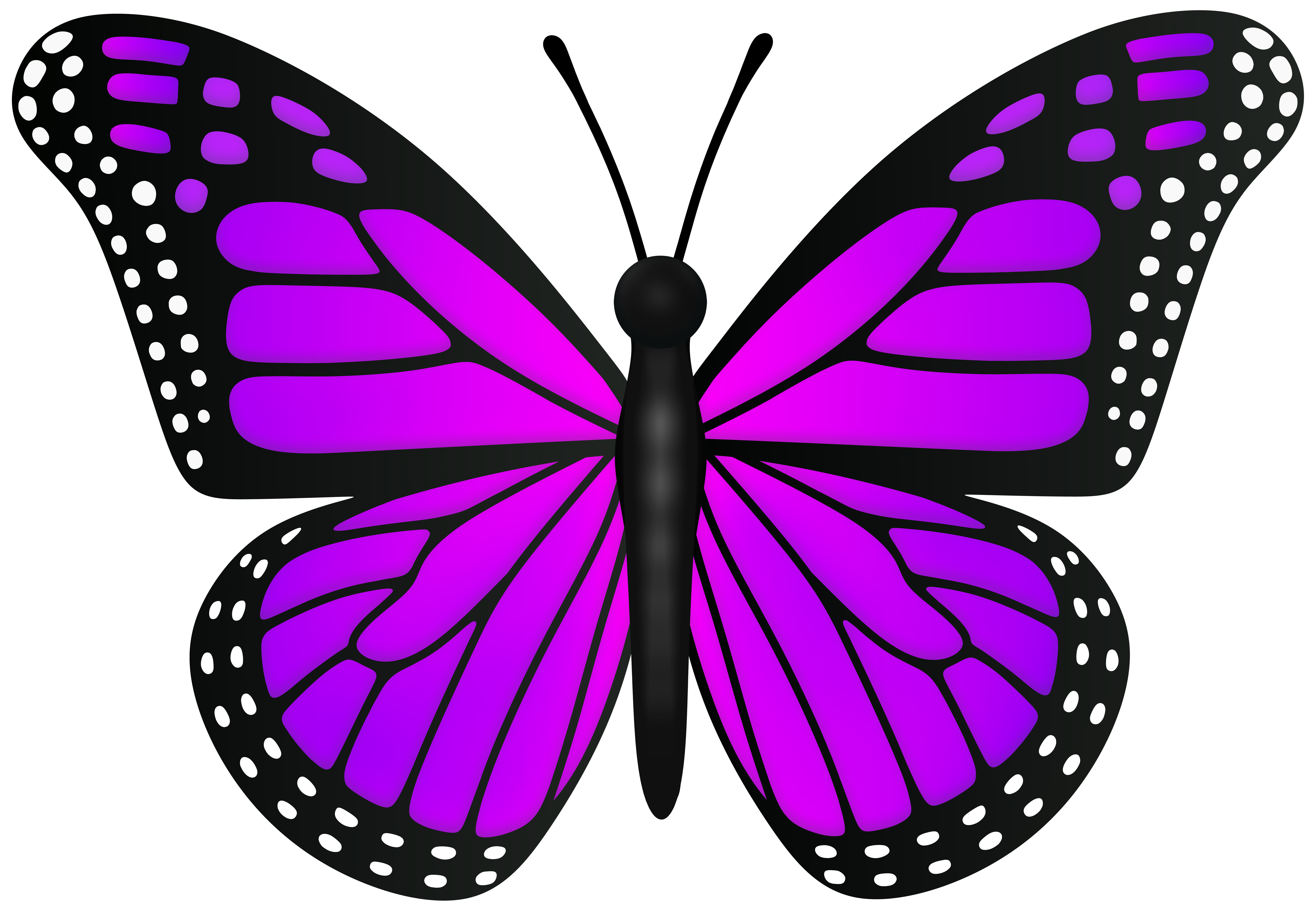 Violet Butterfly Transparent PNG Clipart​ | Gallery Yopriceville -  High-Quality Free Images and Transparent PNG Clipart