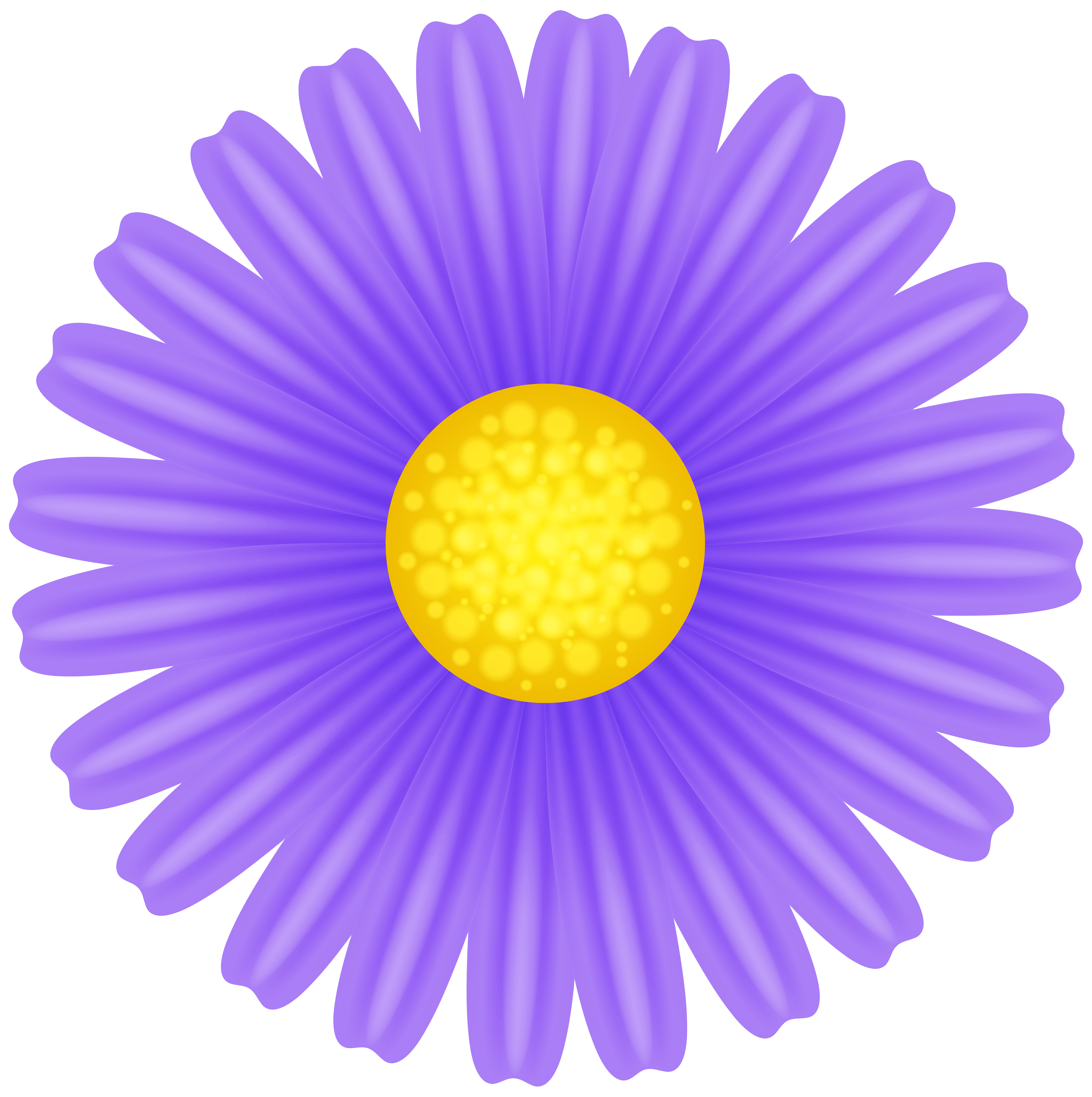 purple daisy png