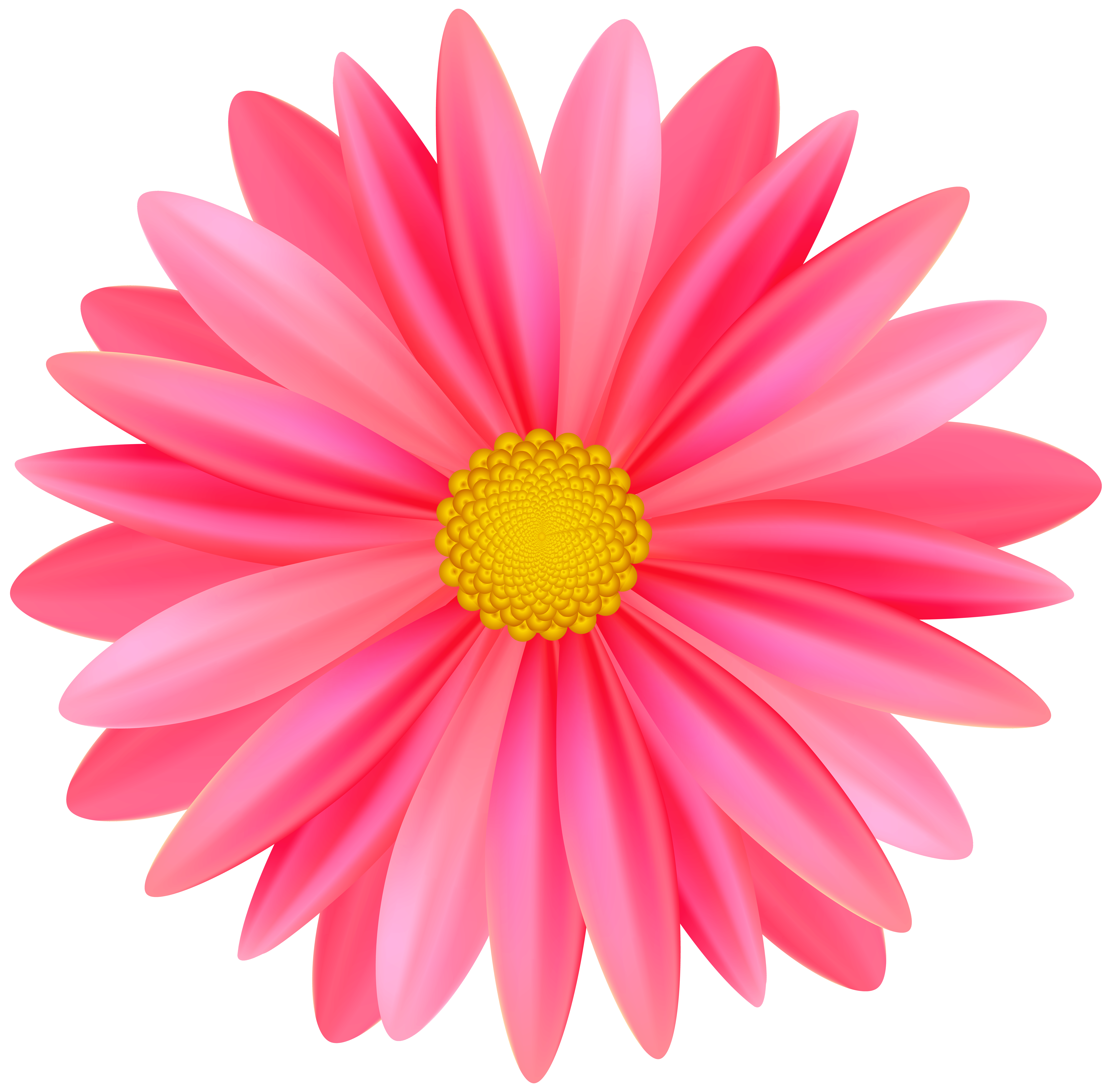 beautiful flower clipart