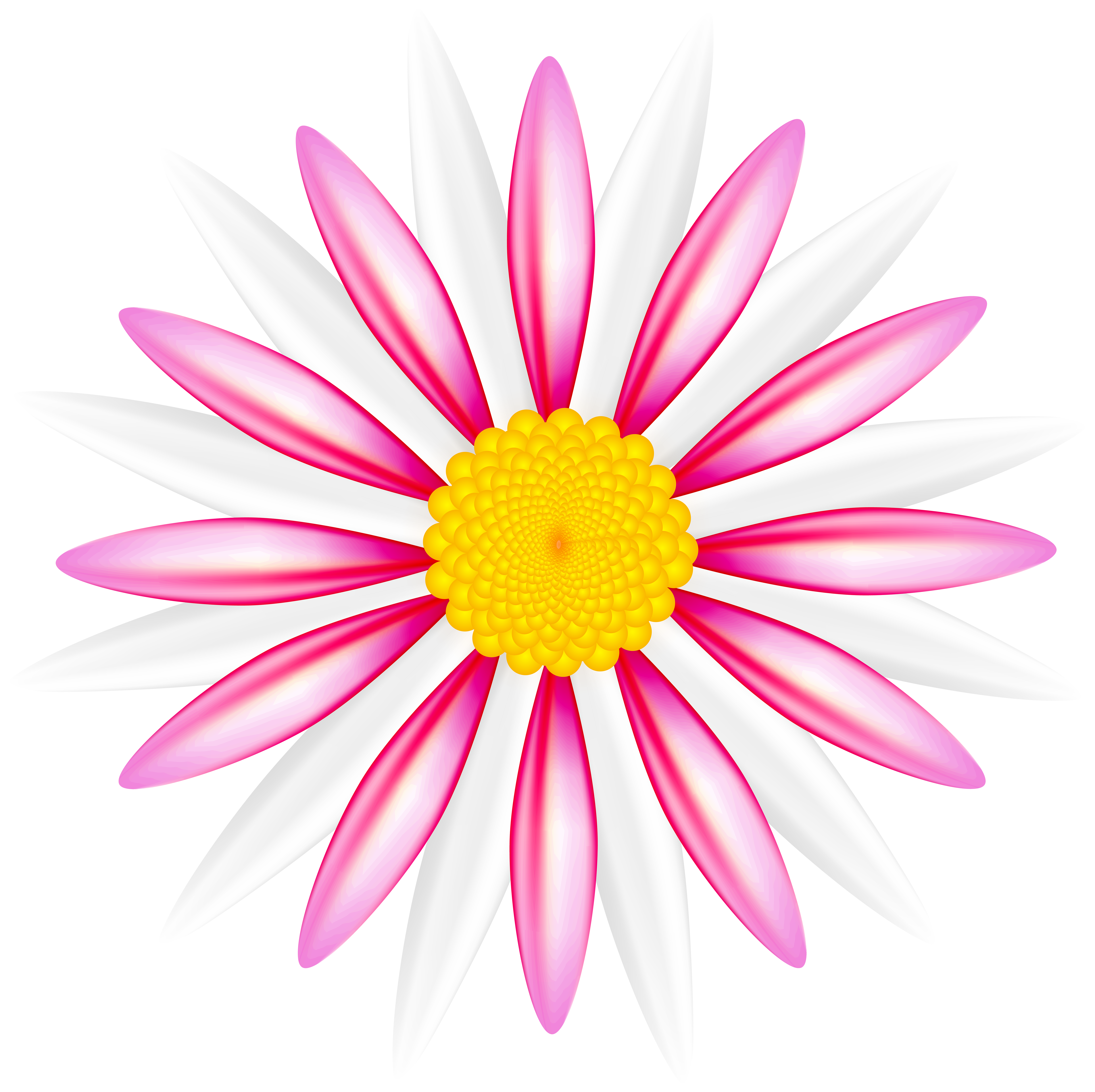 Pink Flower Cartoon png download - 2400*2400 - Free Transparent