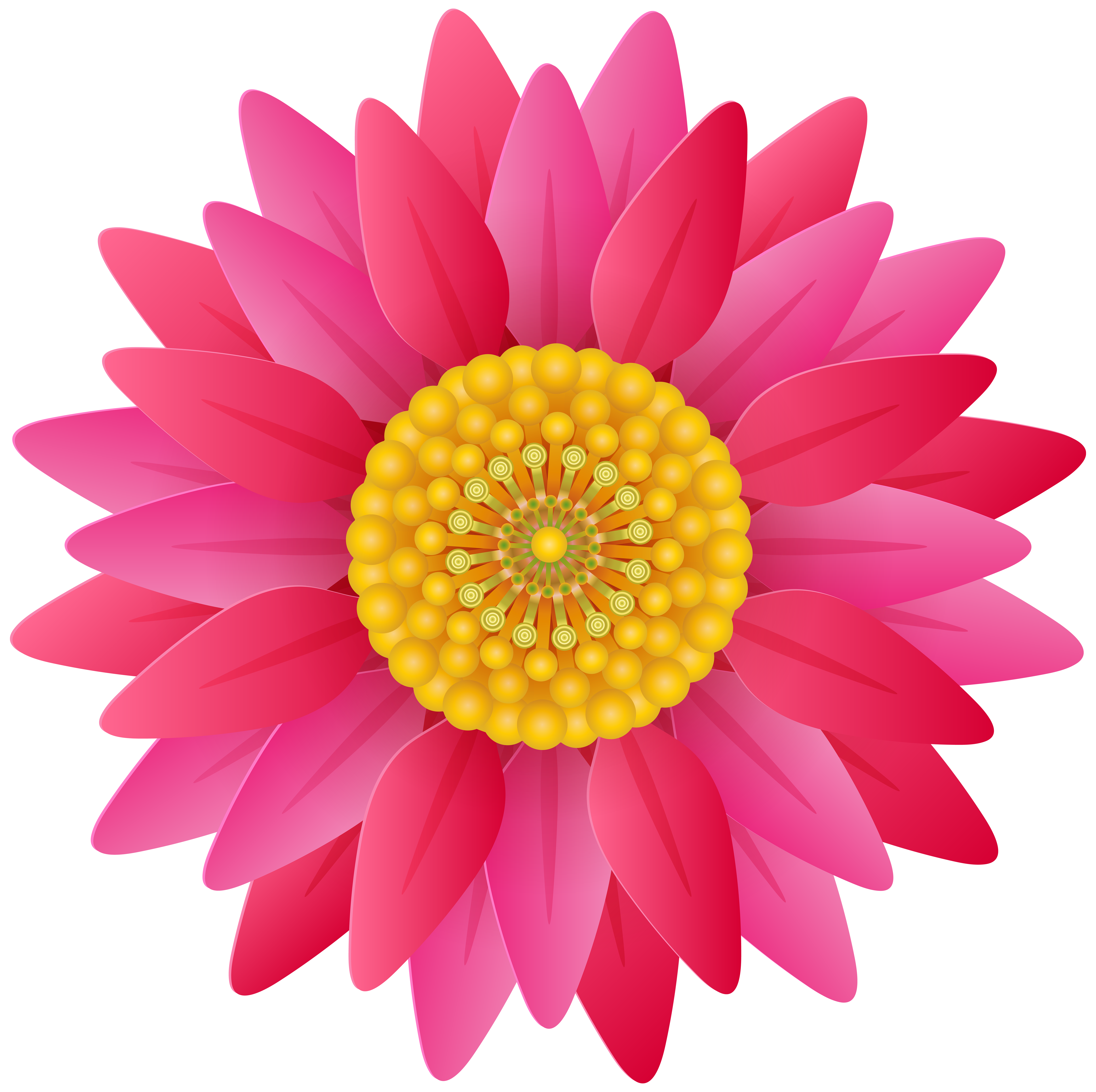 beautiful flower clipart