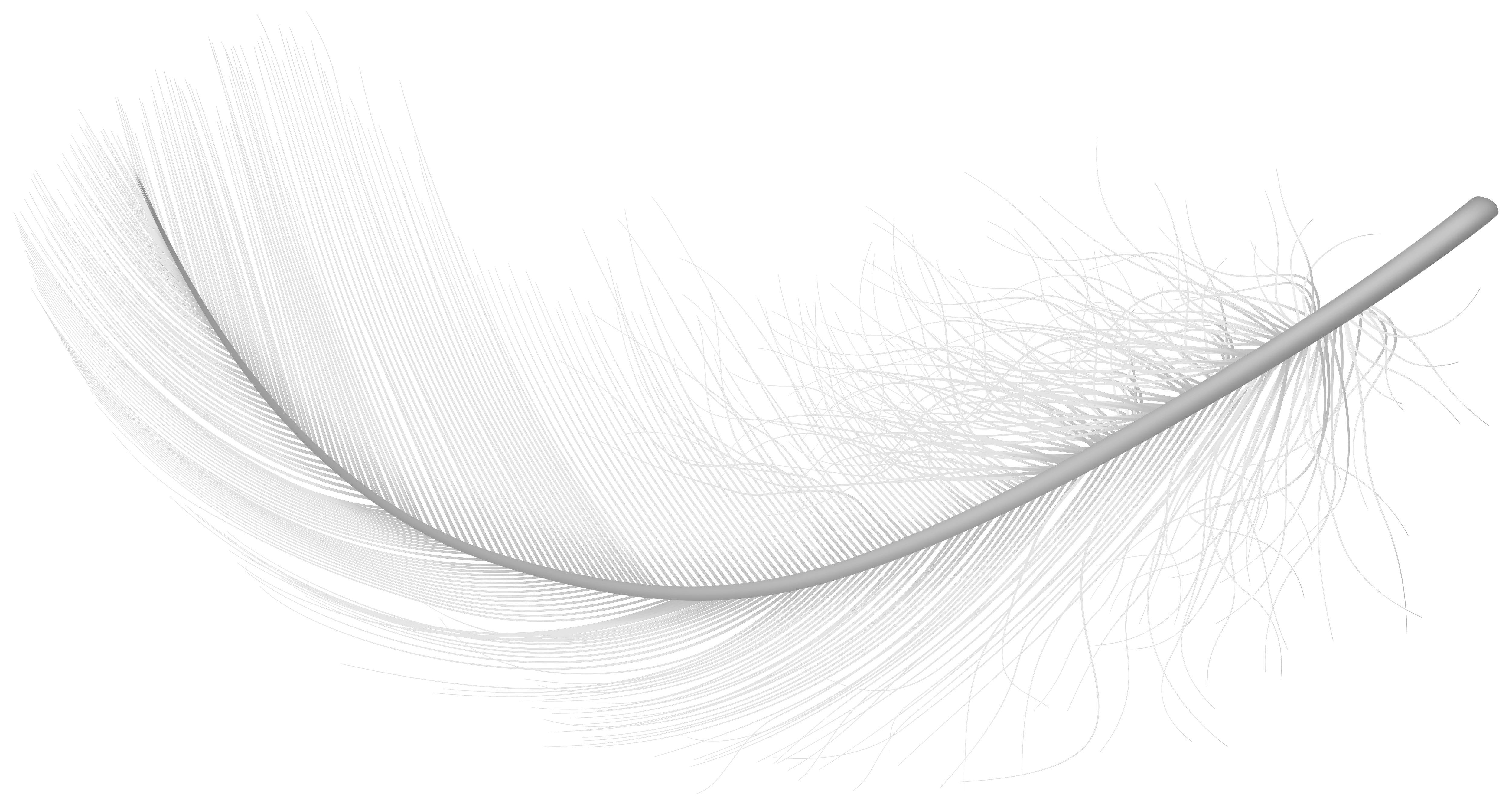 Feather White PNG Transparent Clipart​  Gallery Yopriceville - High-Quality  Free Images and Transparent PNG Clipart