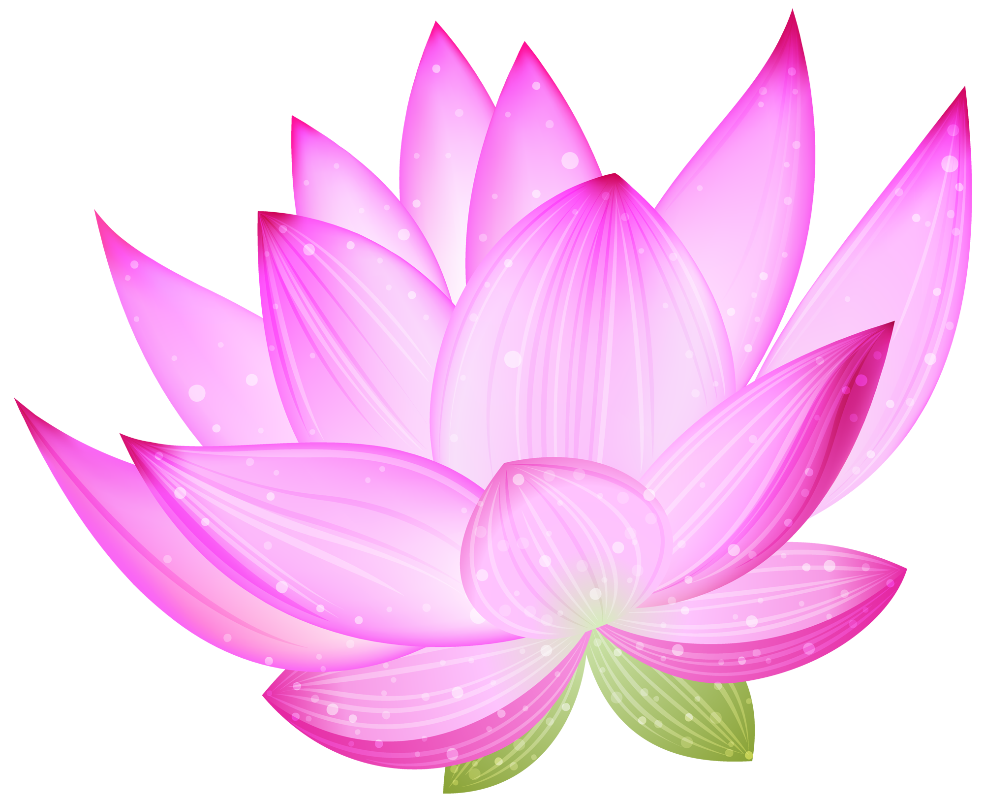 pink lotus flower clip art