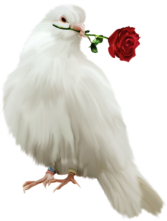 Painted Dove With Red Rose Free Clipart Gallery Yopriceville High Quality Images And Transparent Png Free Clipart