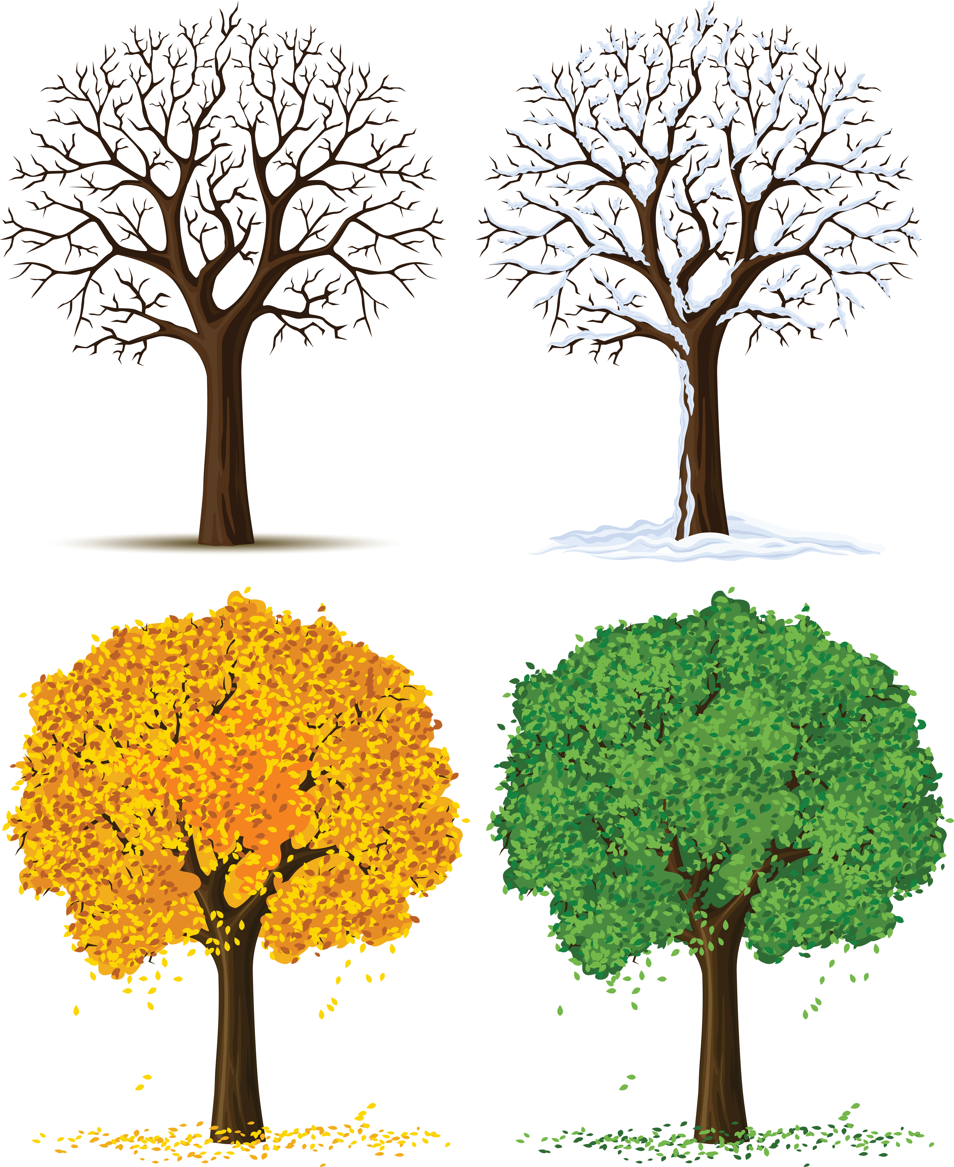 4 seasons of the year clip art