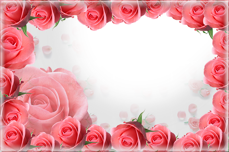 roses frame