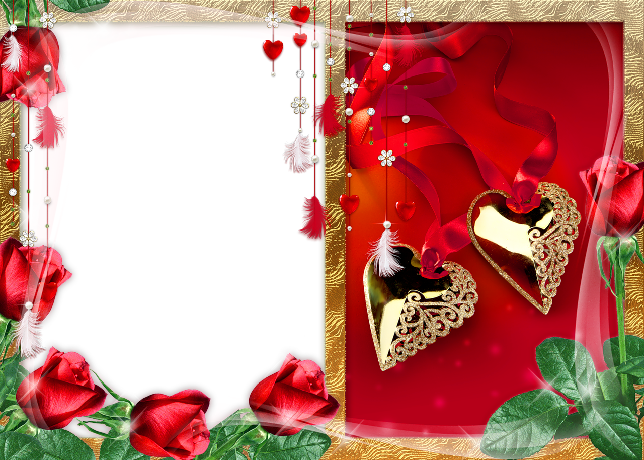 Red Rose Gold Frame Background Memorial PNG Add (Download Now) 