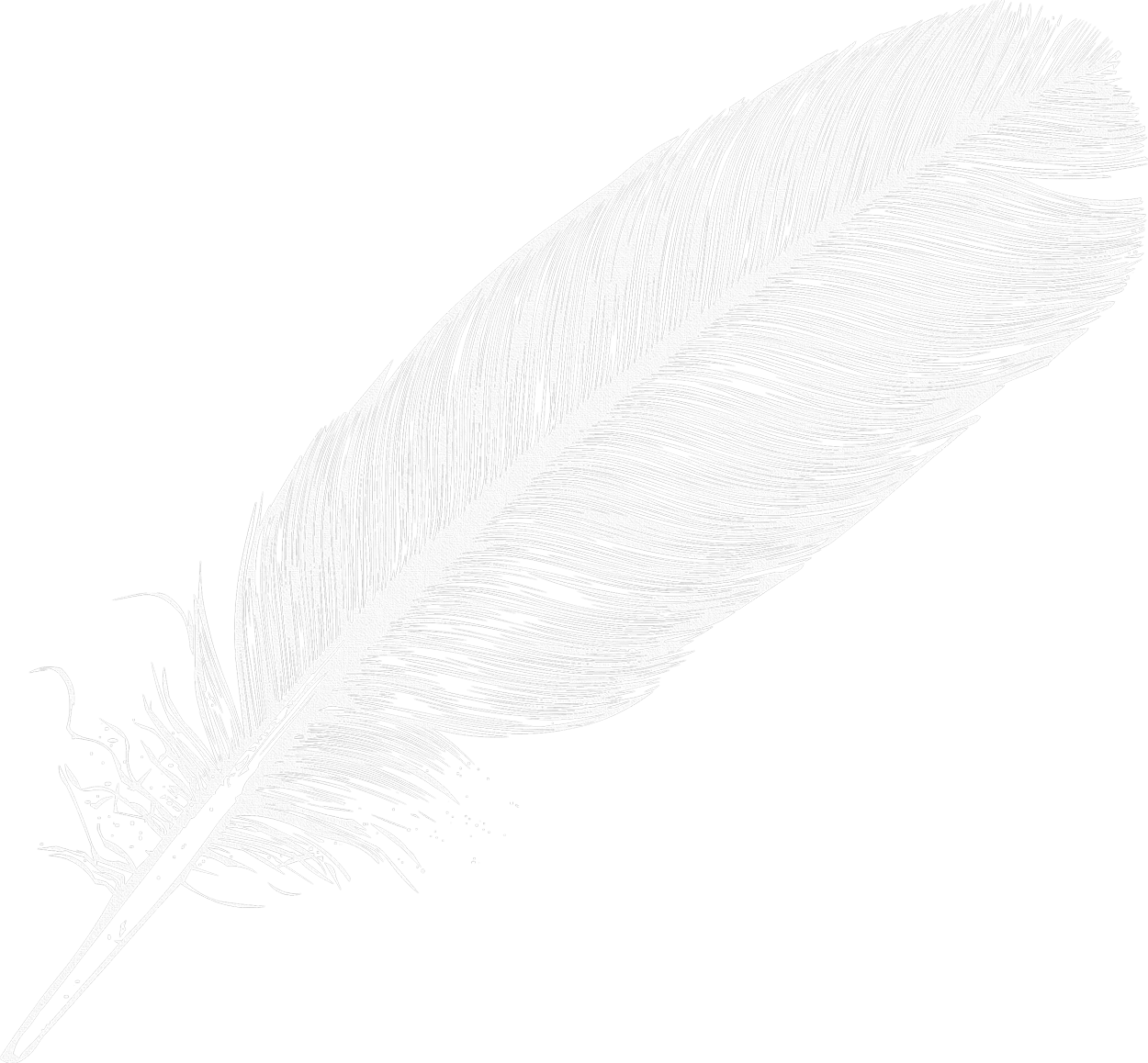 White Feather PNG Transparent Clipart​  Gallery Yopriceville -  High-Quality Free Images and Transparent PNG Clipart