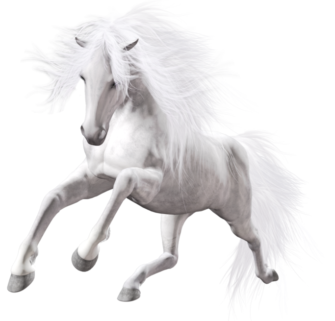 Transparent White Horse Art​ | Gallery Yopriceville - High-Quality Free  Images and Transparent PNG Clipart