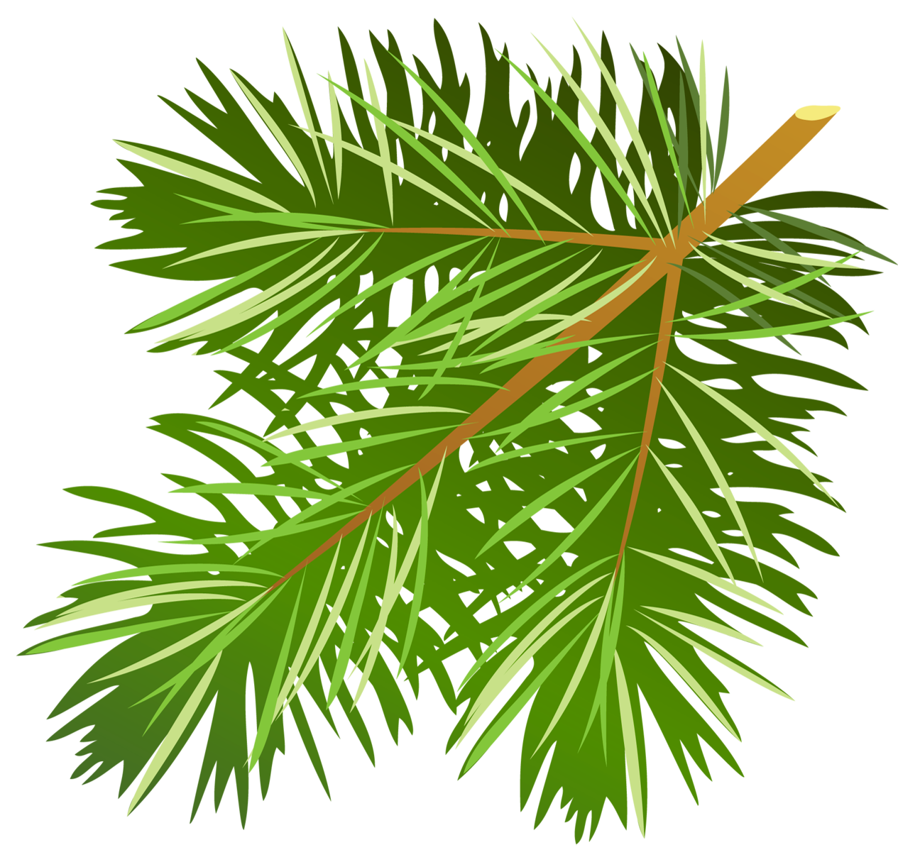 Pine Branches Top PNG Clipart​  Gallery Yopriceville - High-Quality Free  Images and Transparent PNG Clipart