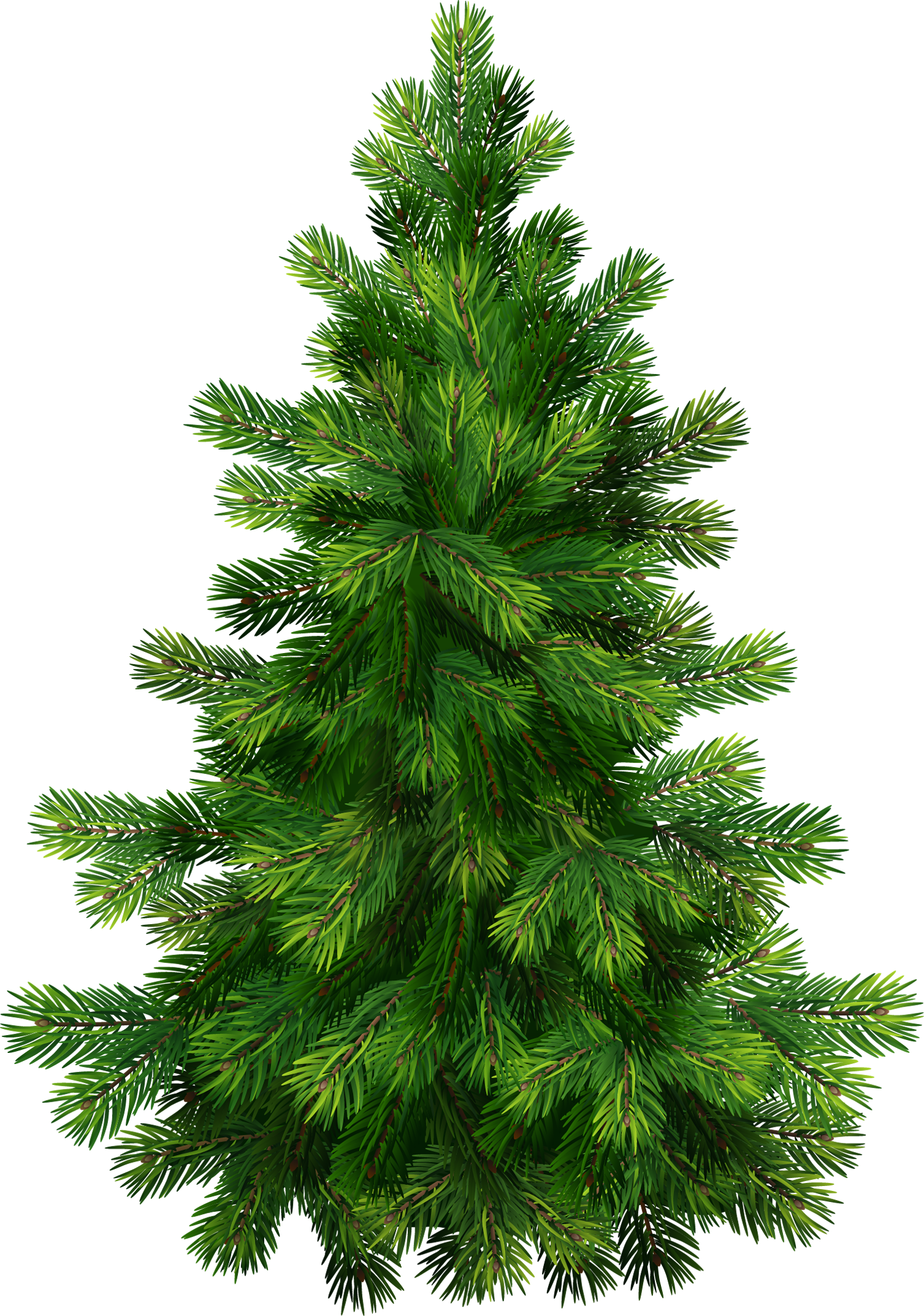 pine trees transparent background