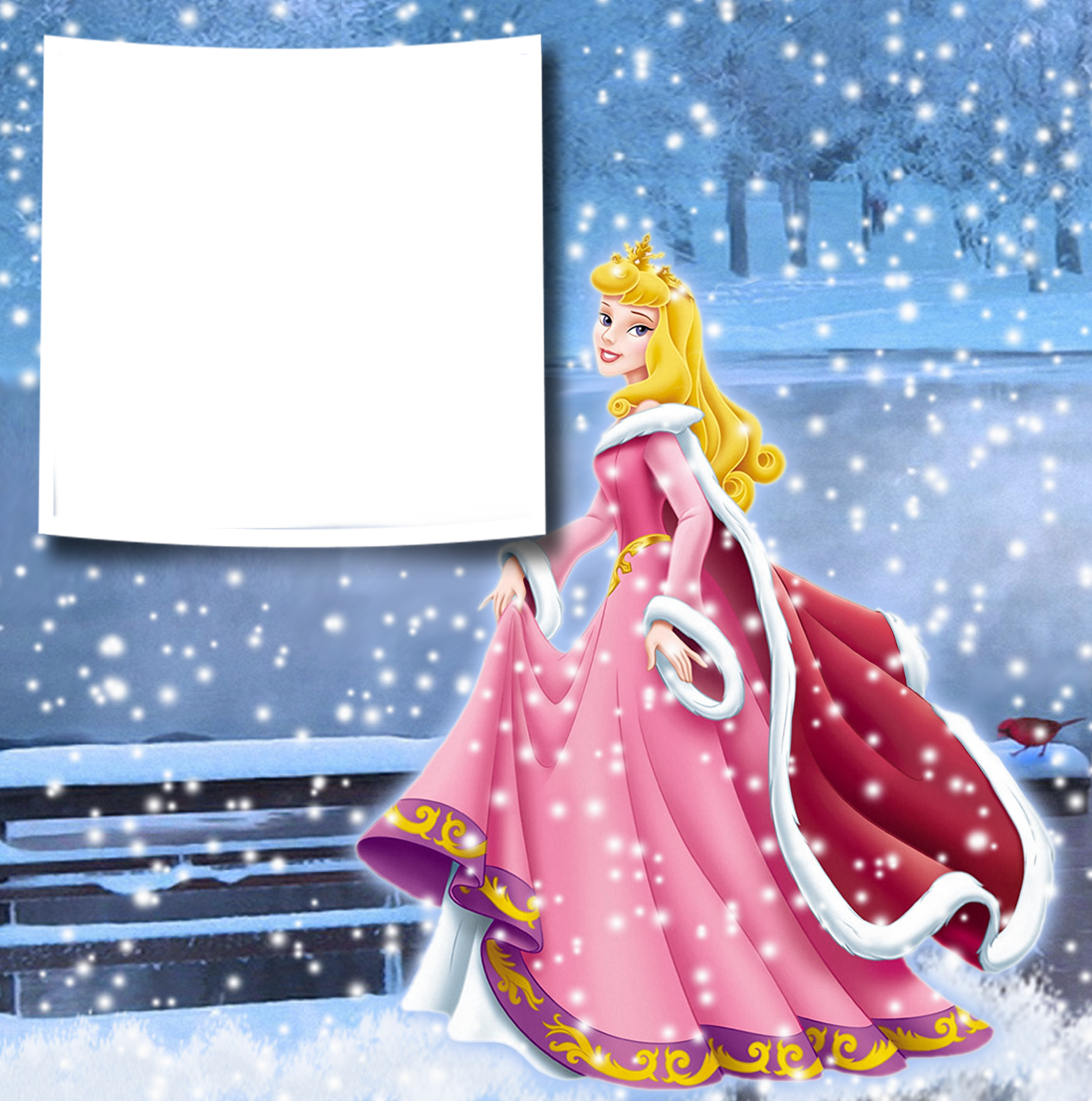 Princess Aurora PNG Transparent Images - PNG All