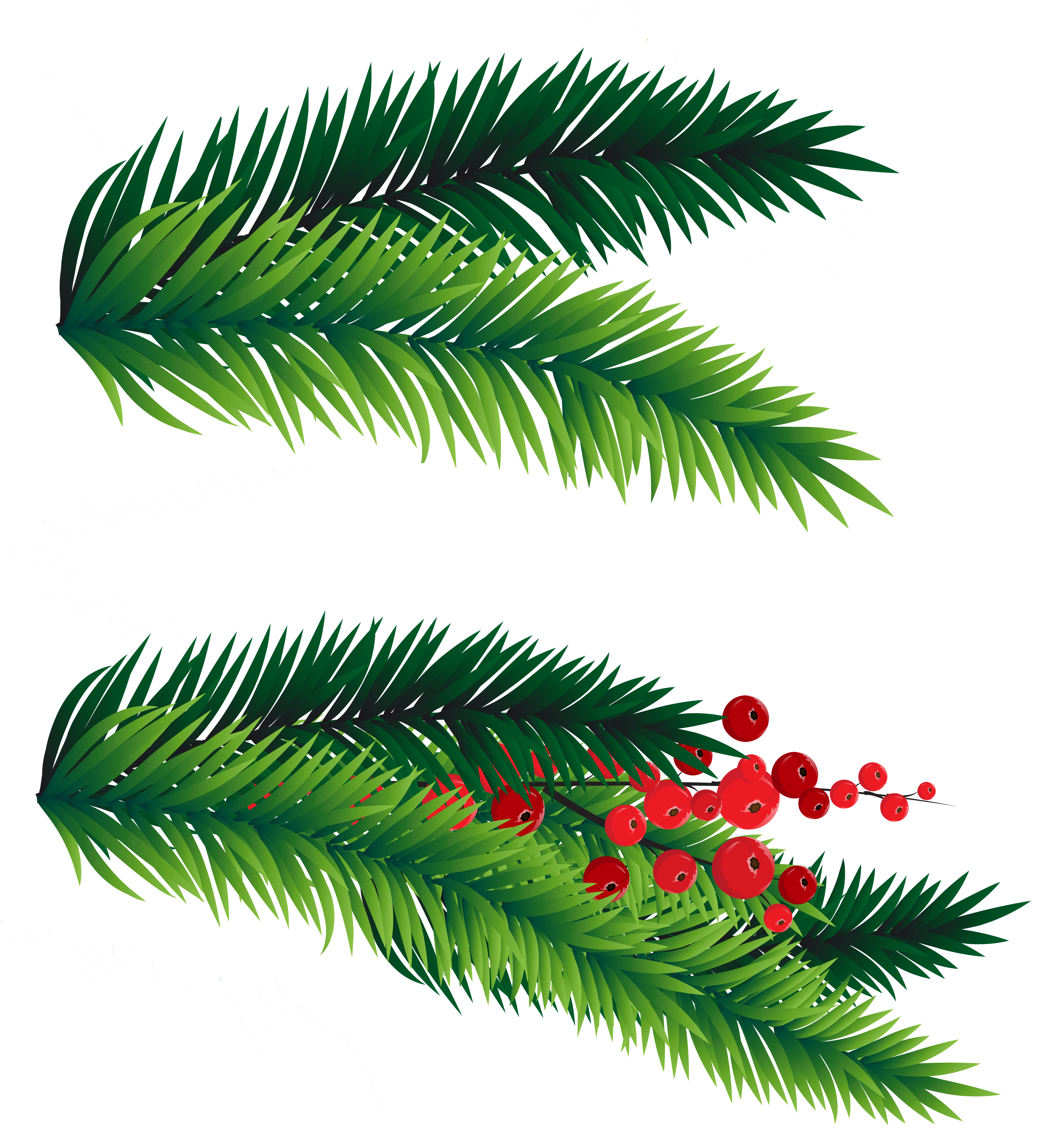 Pine Branches PNG Clipart​  Gallery Yopriceville - High-Quality Free  Images and Transparent PNG Clipart