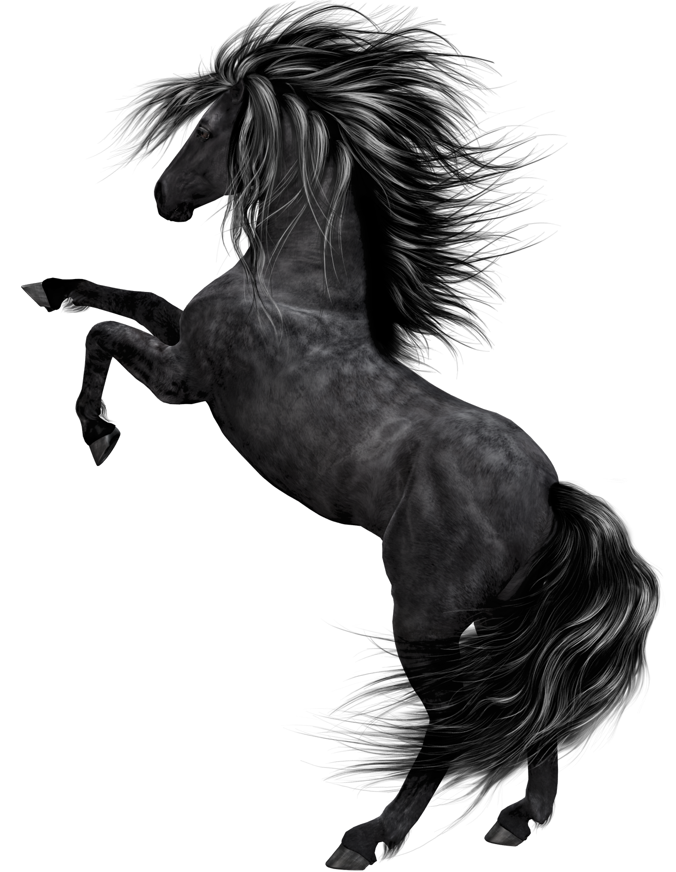 black horse art