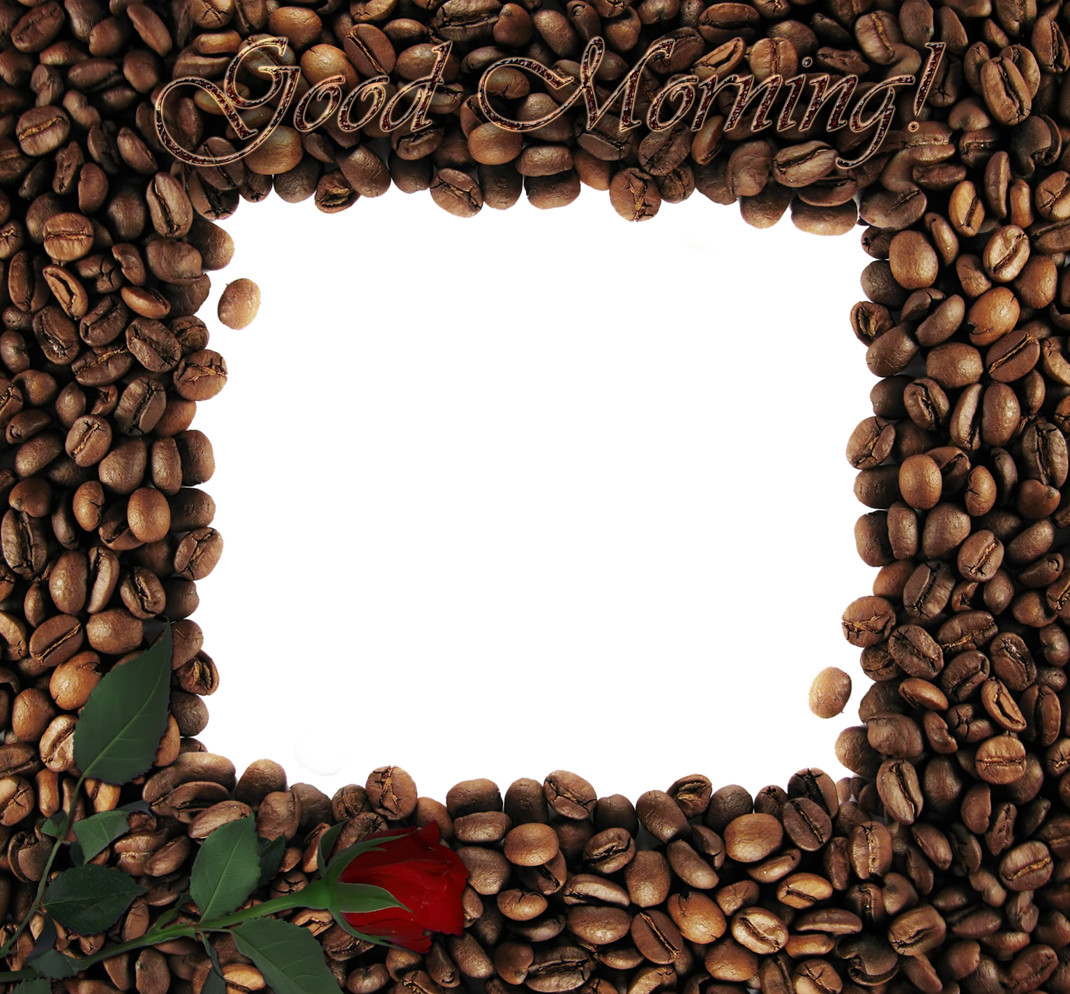 coffee beans border png