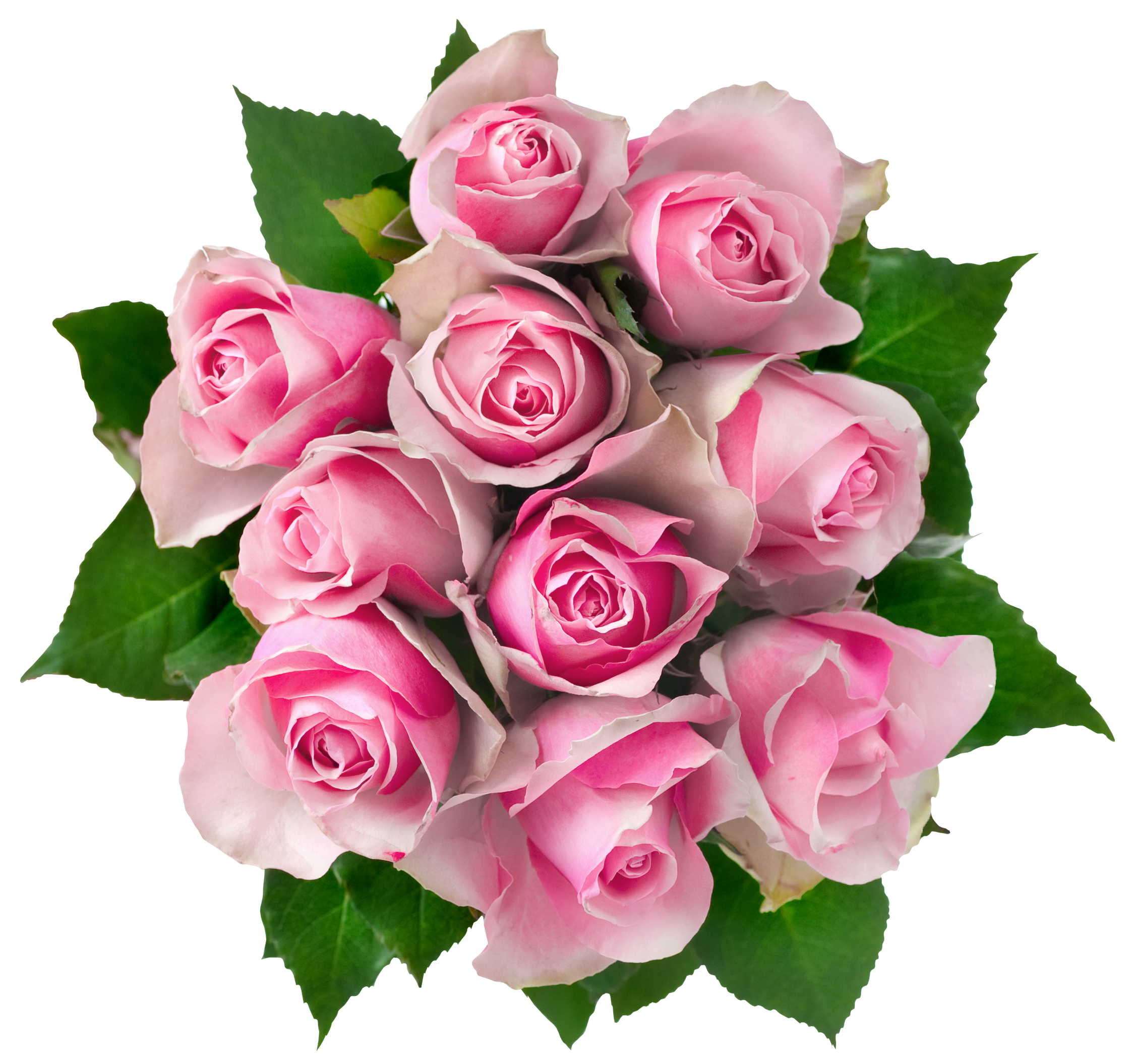 pink roses bouquet png