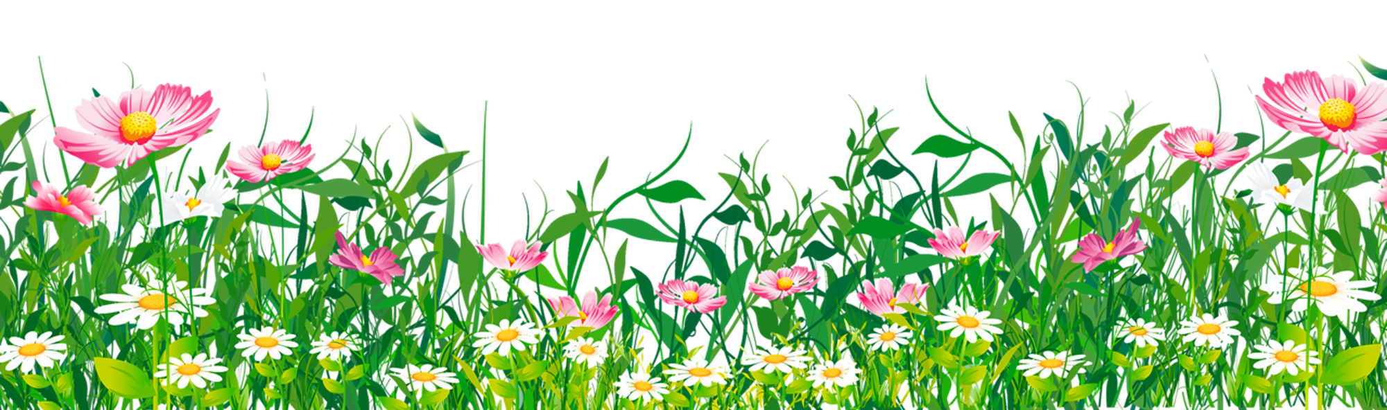 Flower Grass Png