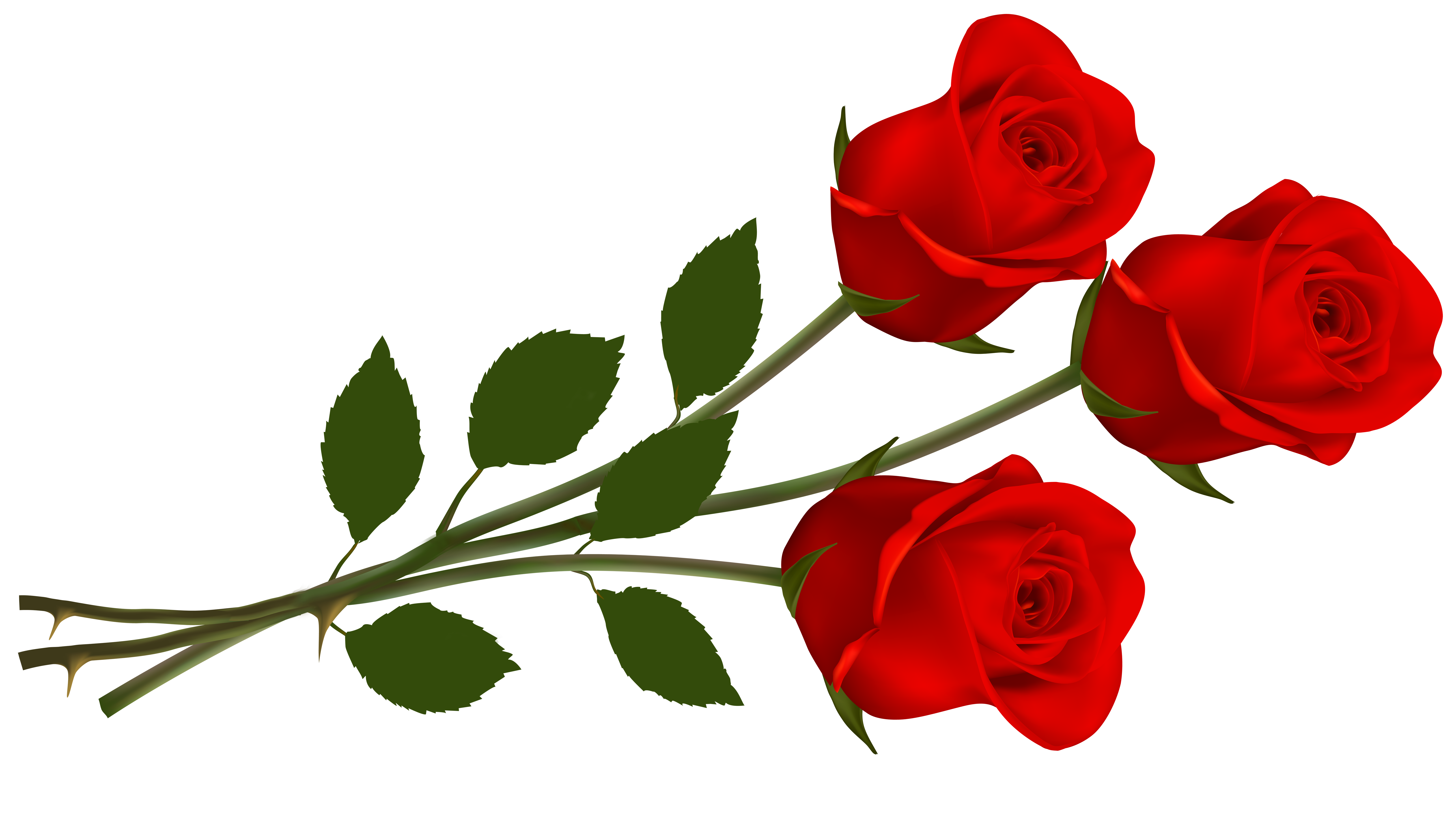 single red rose clip art