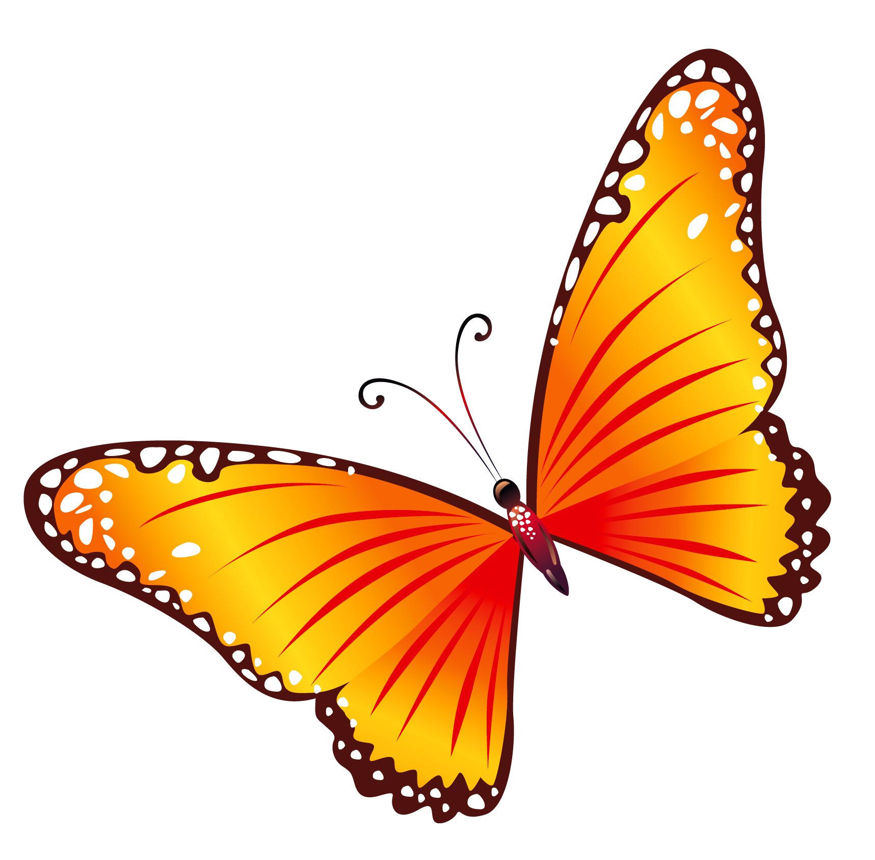 3d Butterfly png images