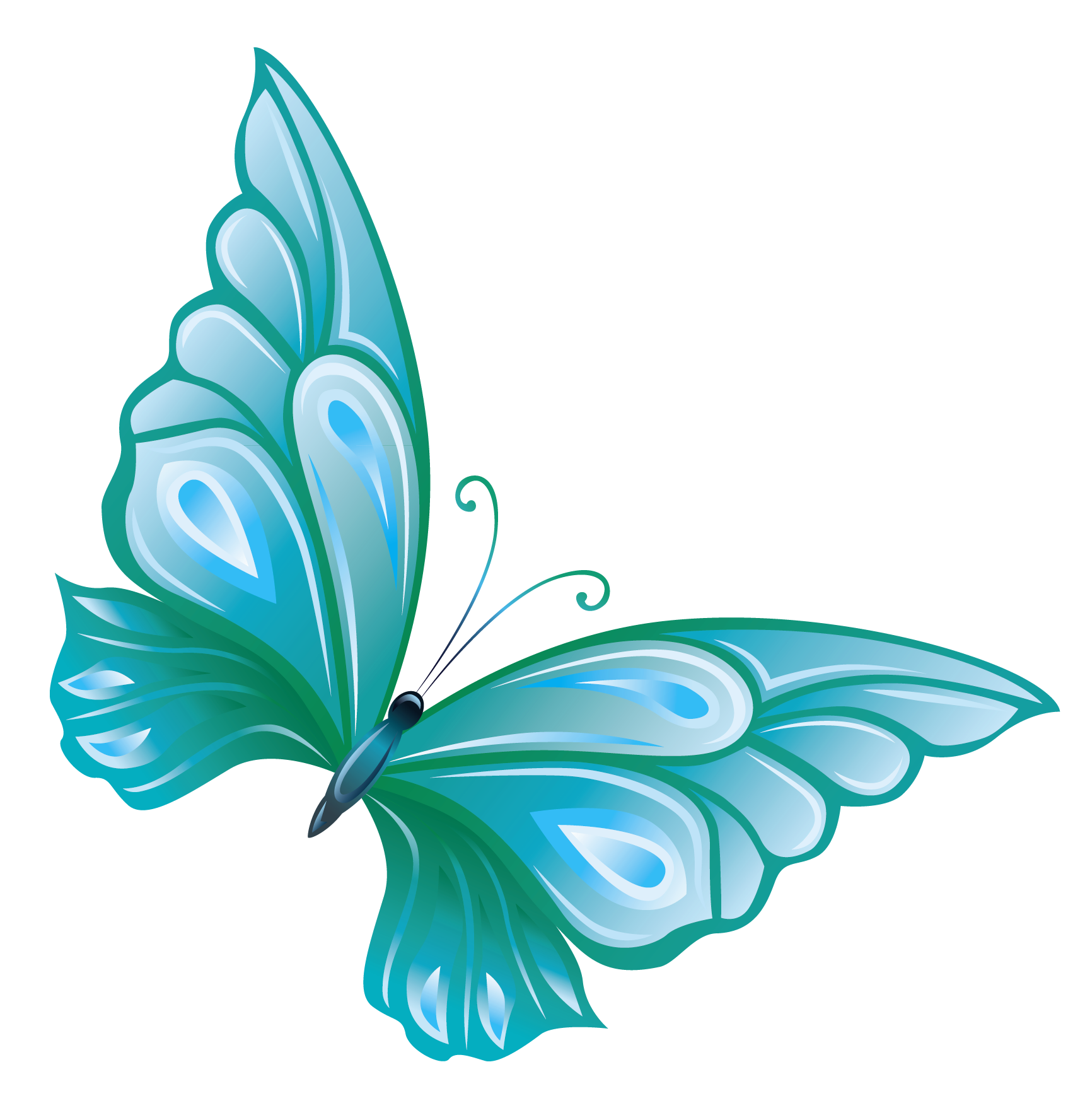 animated blue butterflies