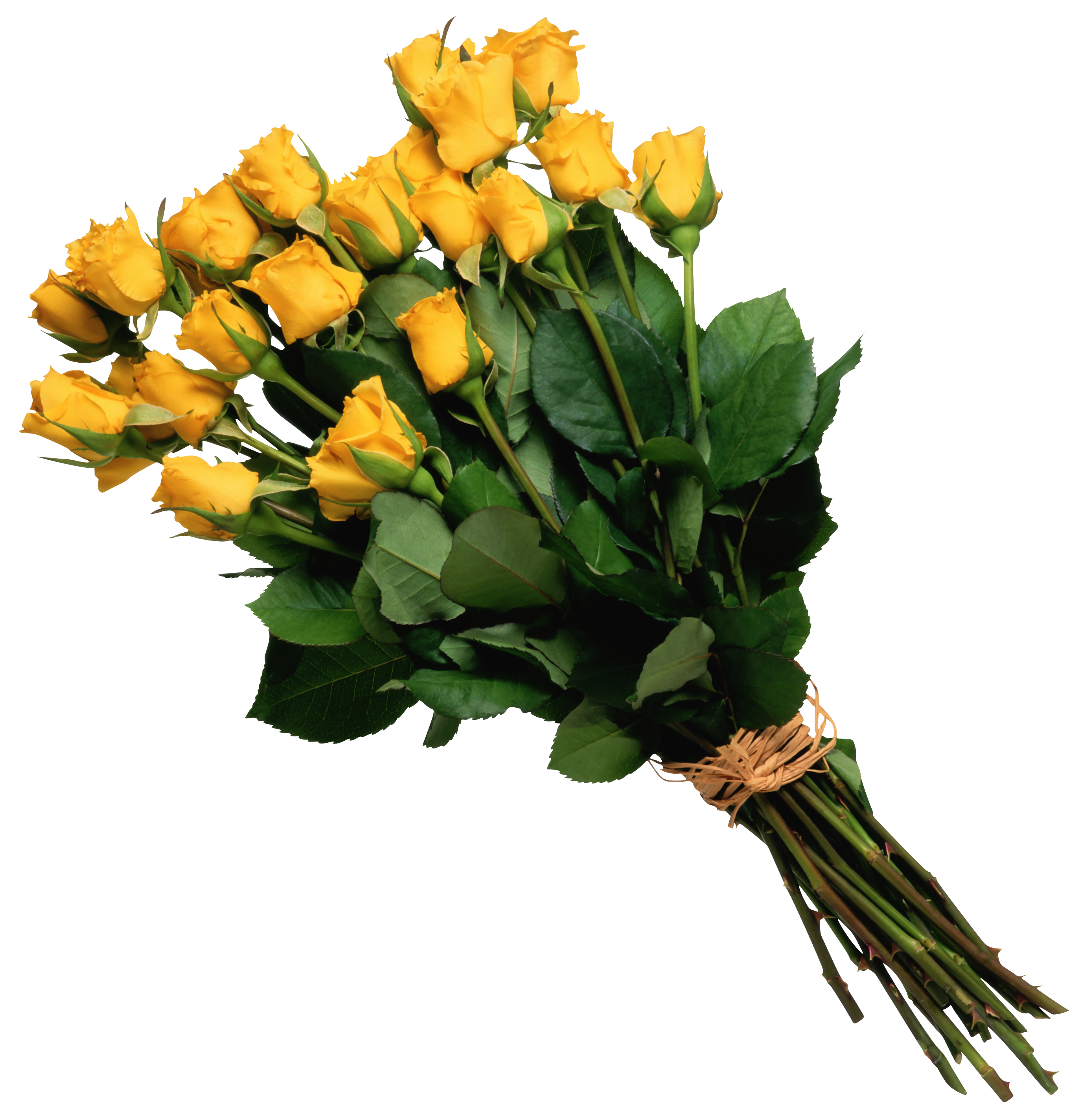 yellow rose bouquet images